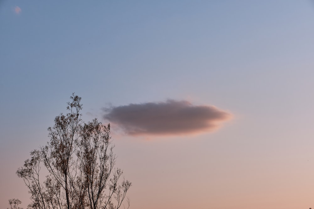 a cloud is seen in the sky above a tree