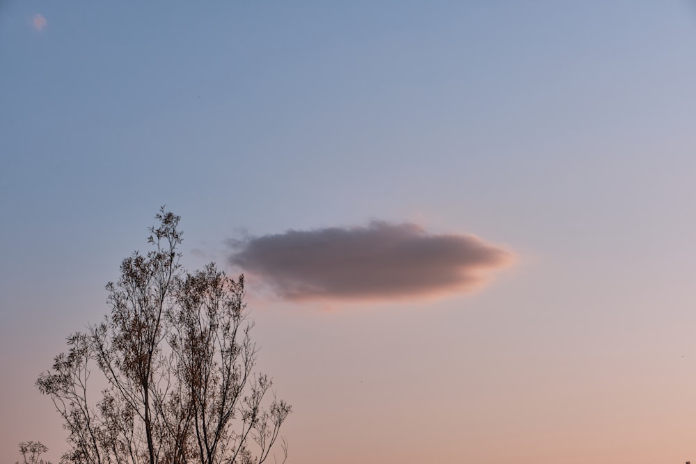 Eine Wolke ist am Himmel über einem Baum zu sehen