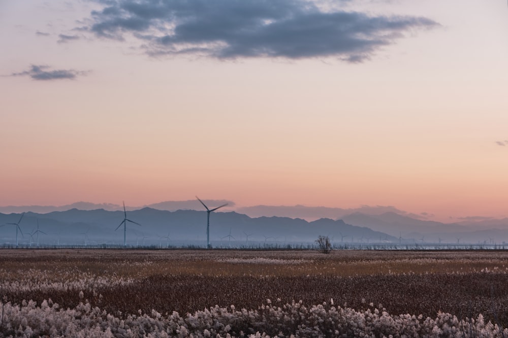 a field with a few windmills in the distance