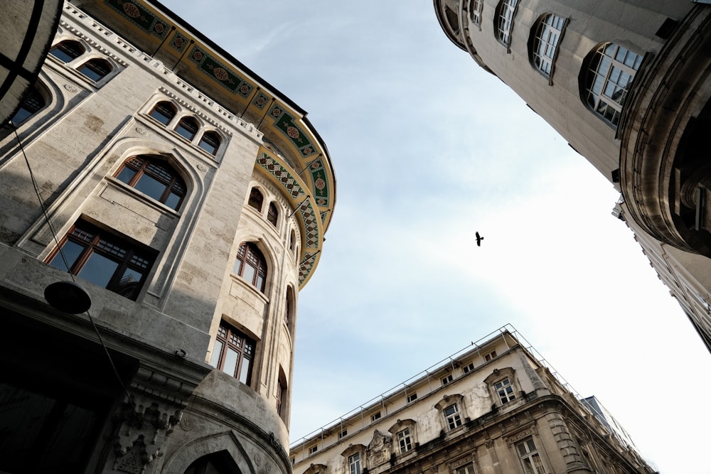 a bird flying in the sky between two buildings