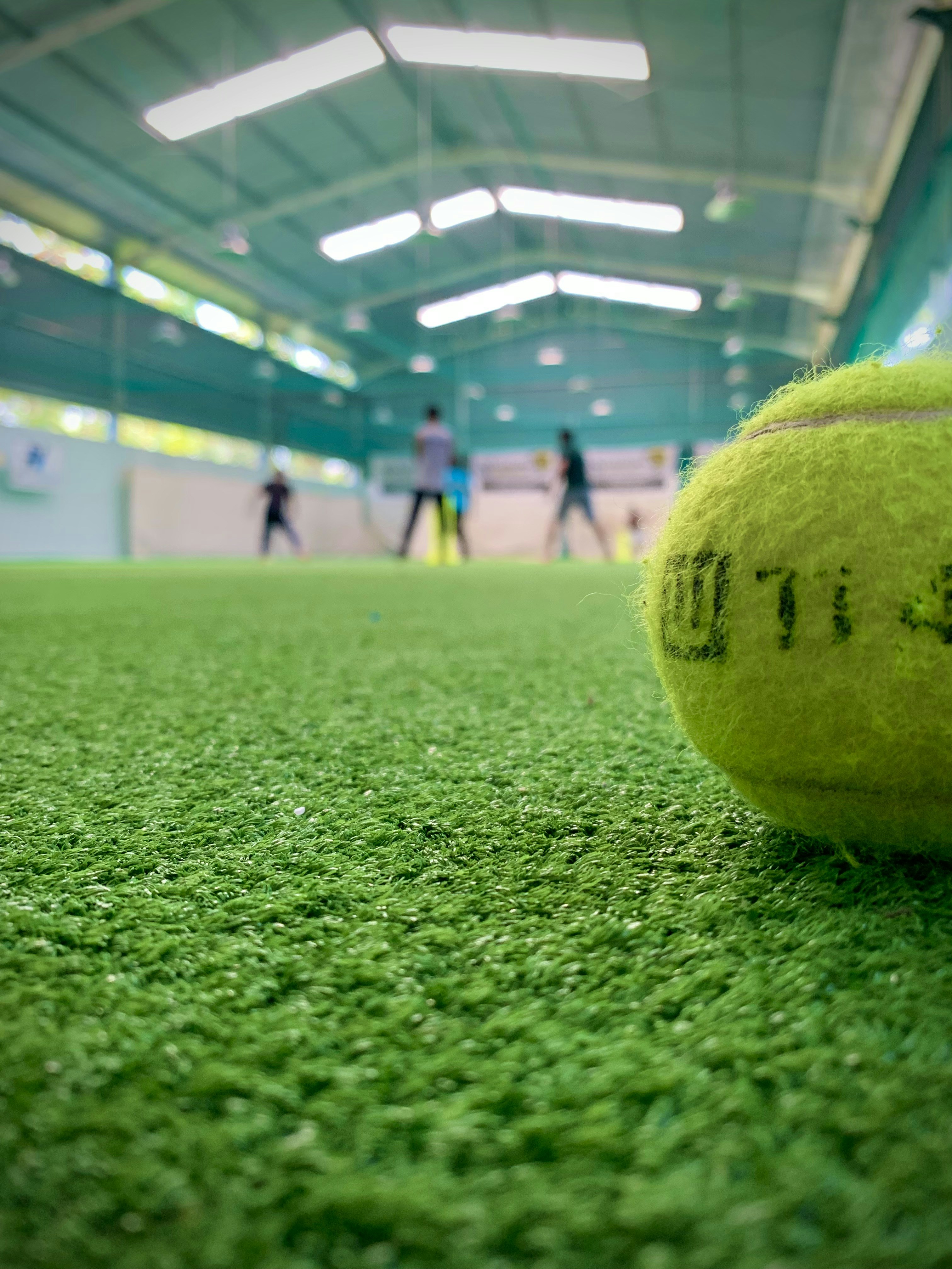 a tennis ball that is on the ground