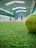 A close-up view of a tennis ball on a green indoor court with blurred figures in the background playing. The court has an overhead roof with white fluorescent lights.