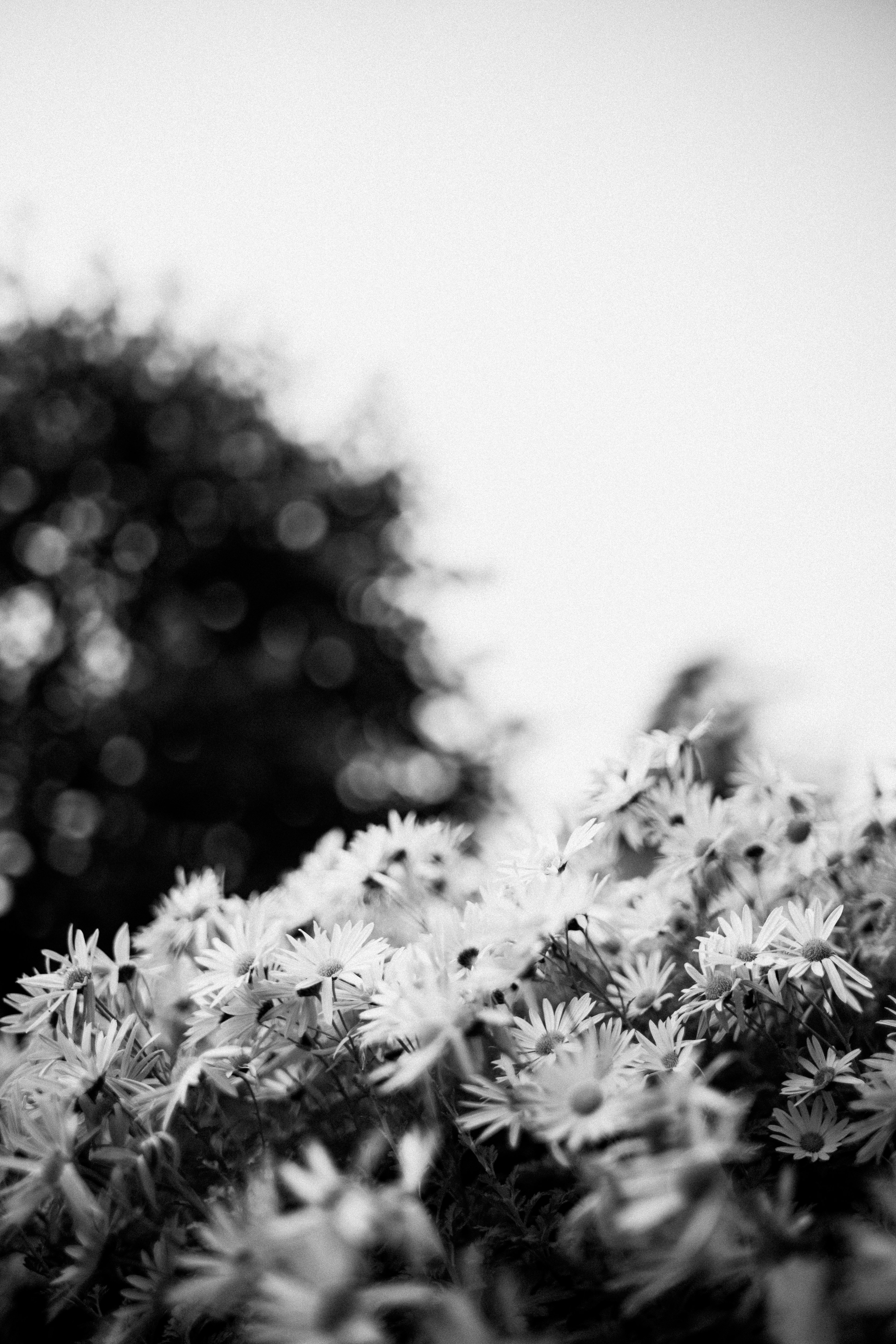 Photo by anniespratt