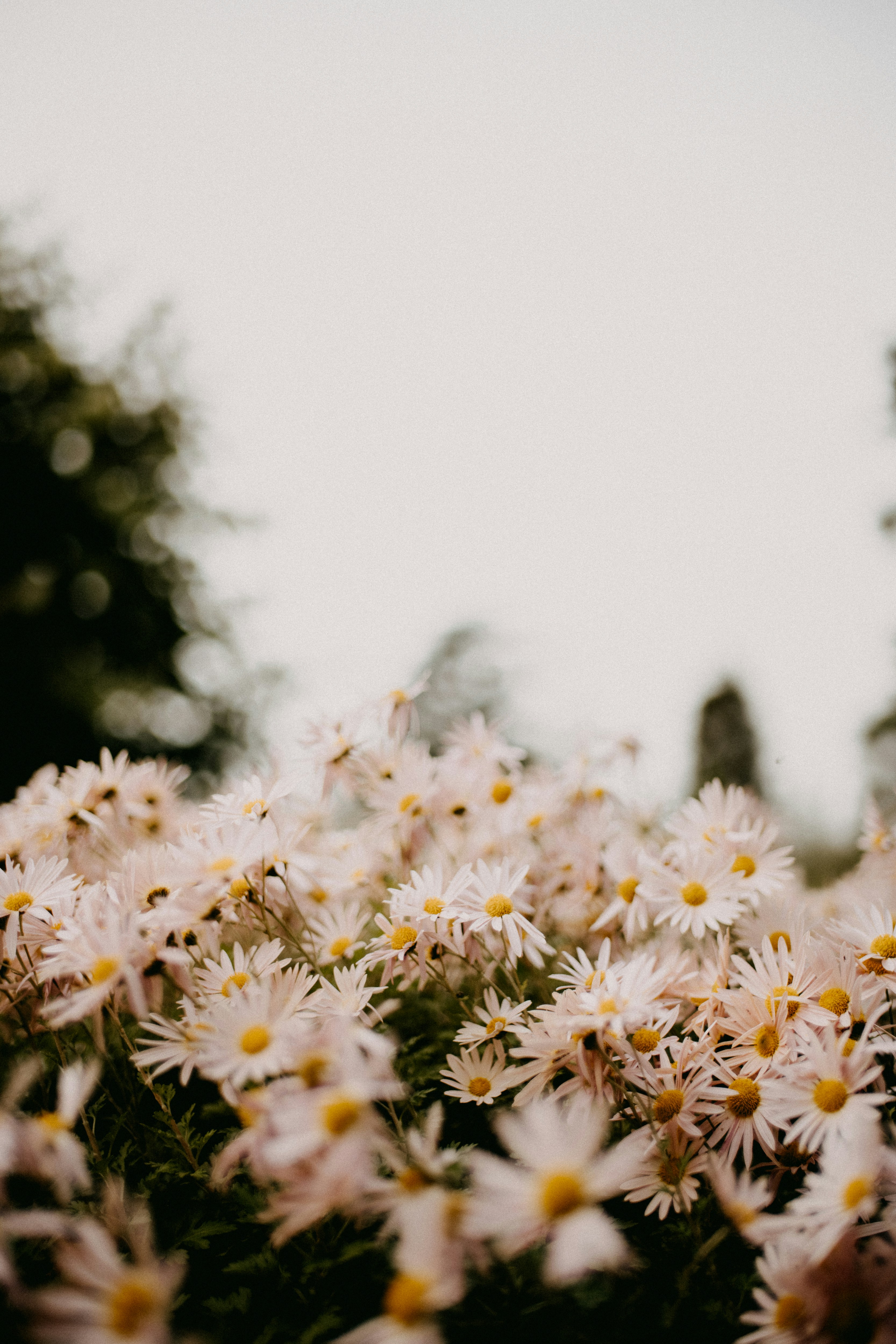 Photo by anniespratt