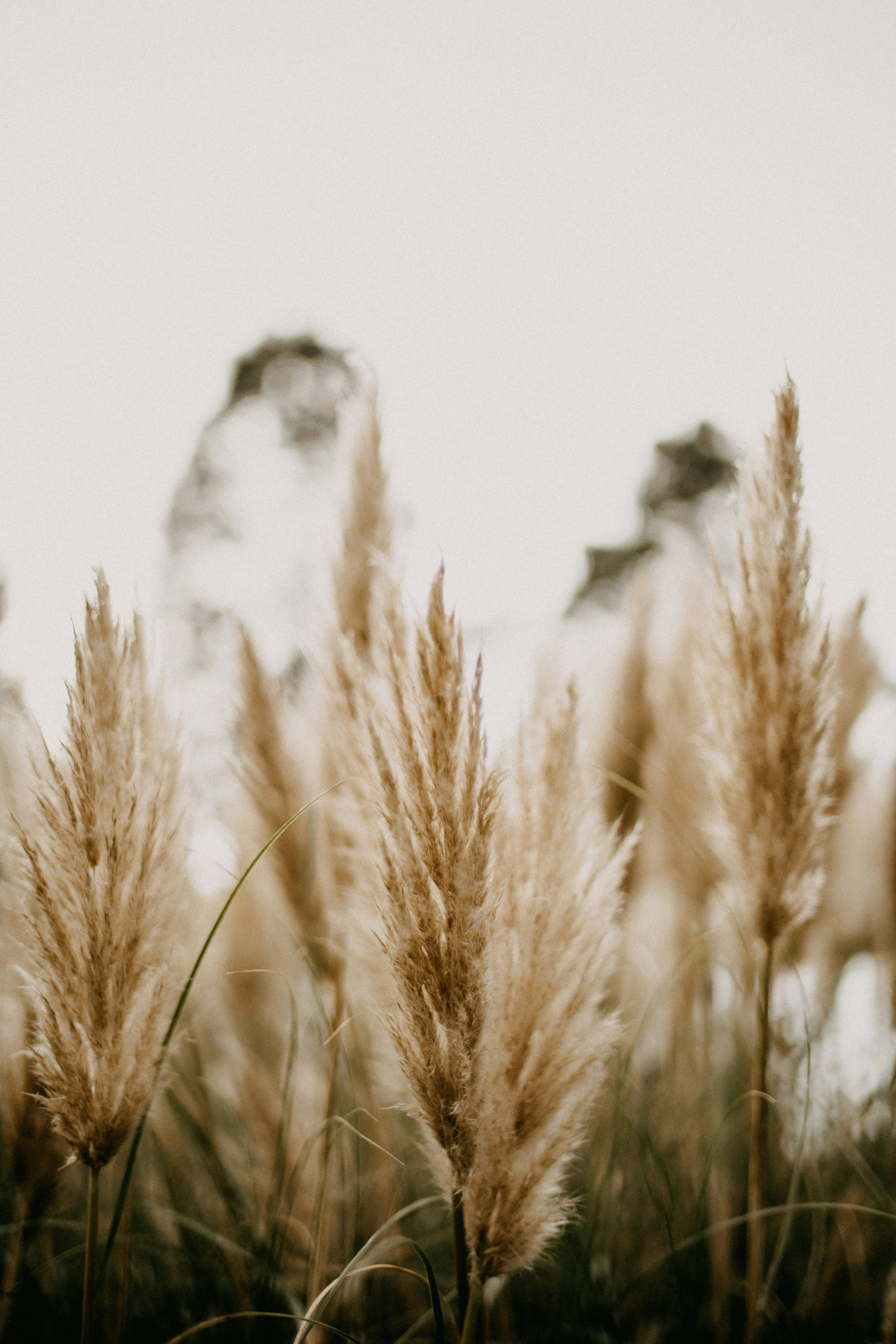 Photo by anniespratt