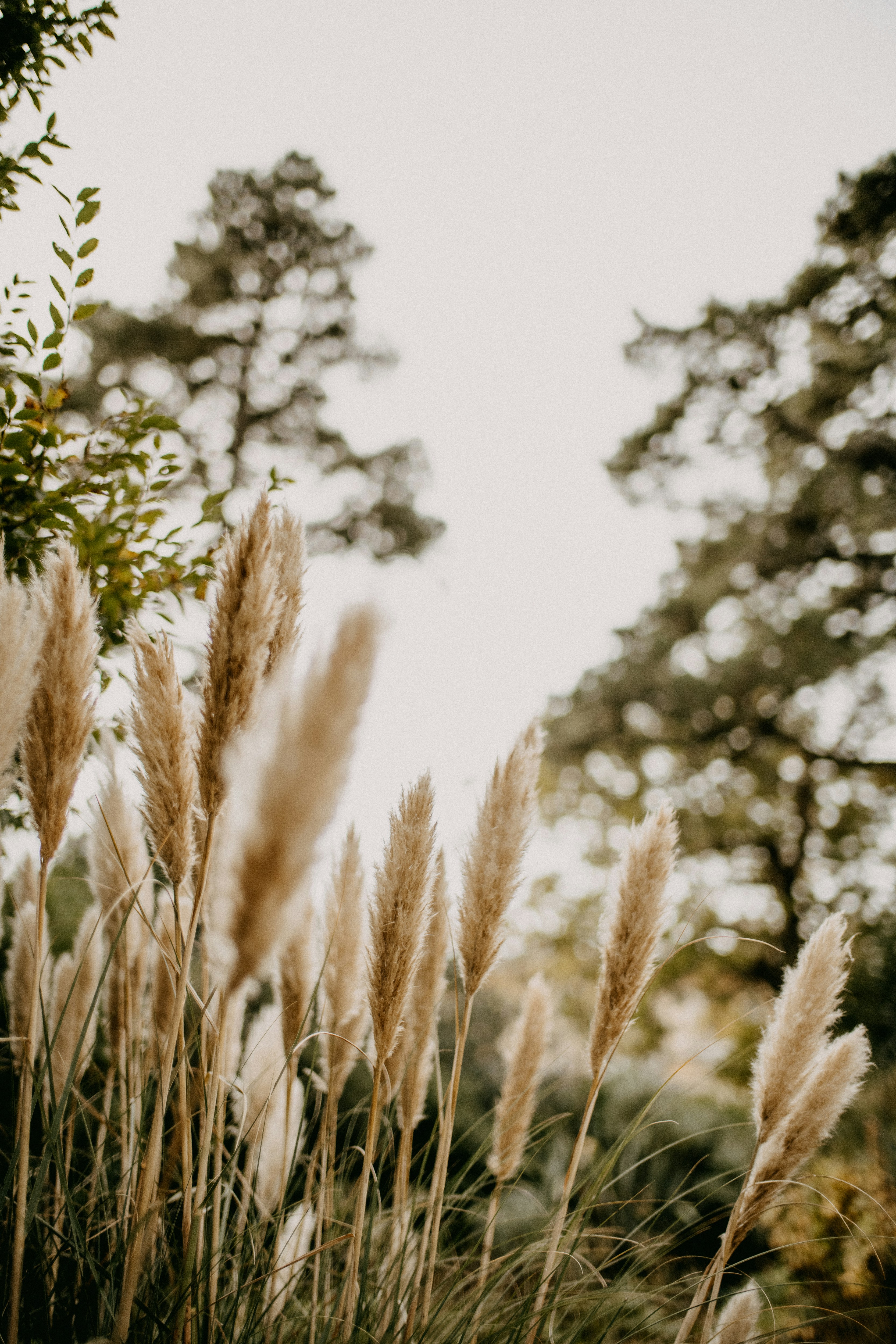 Photo by anniespratt