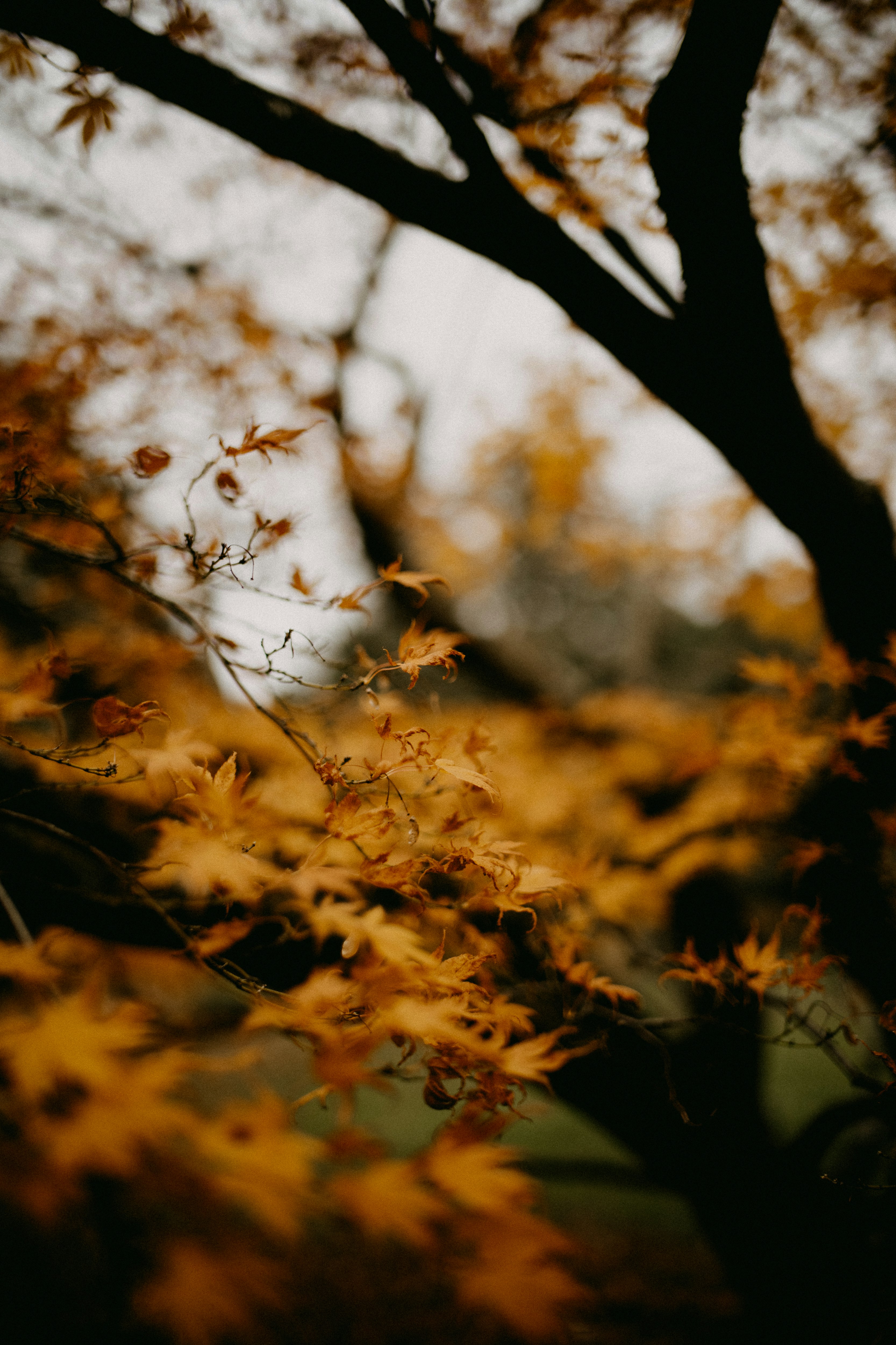 Photo by anniespratt