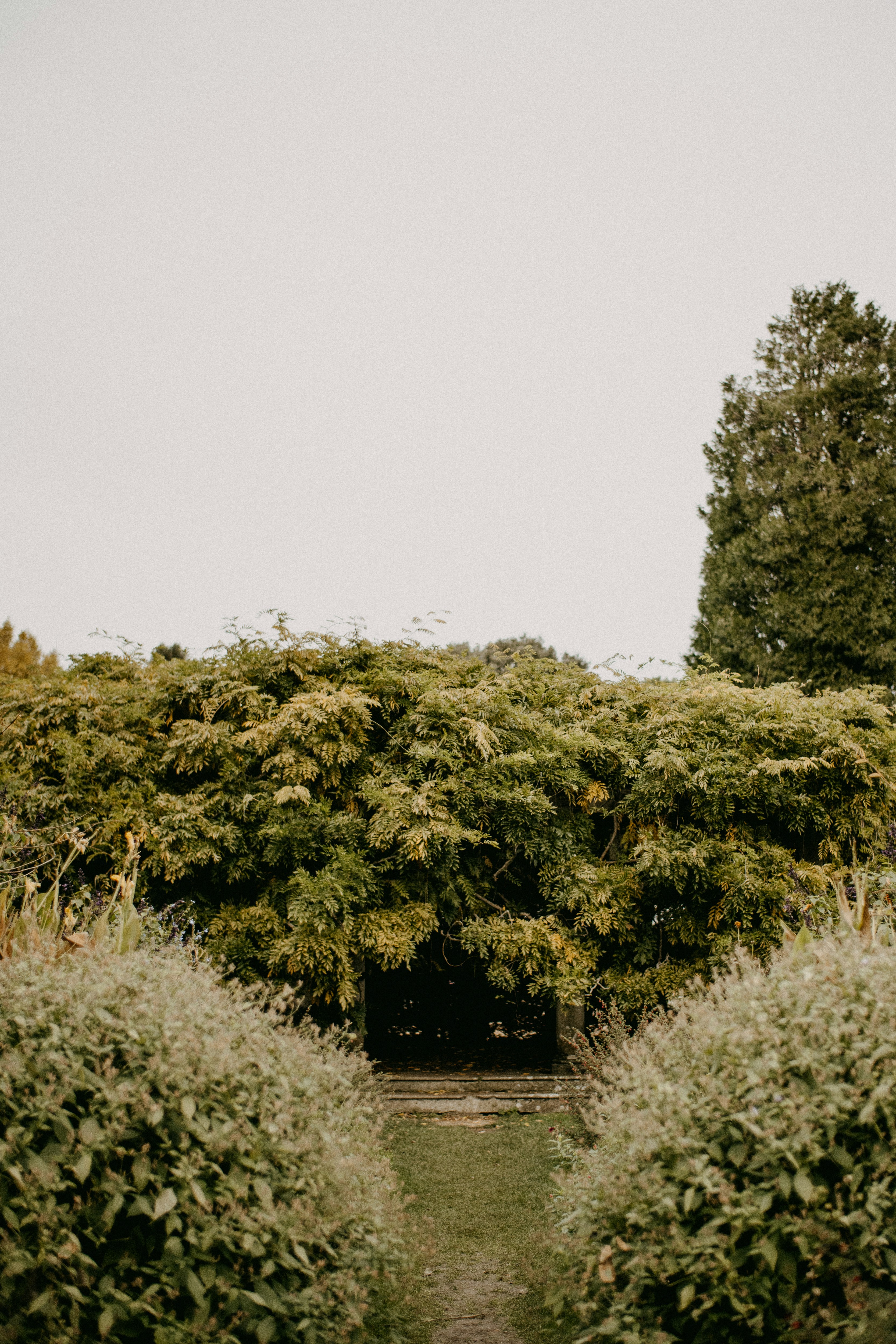 Photo by anniespratt