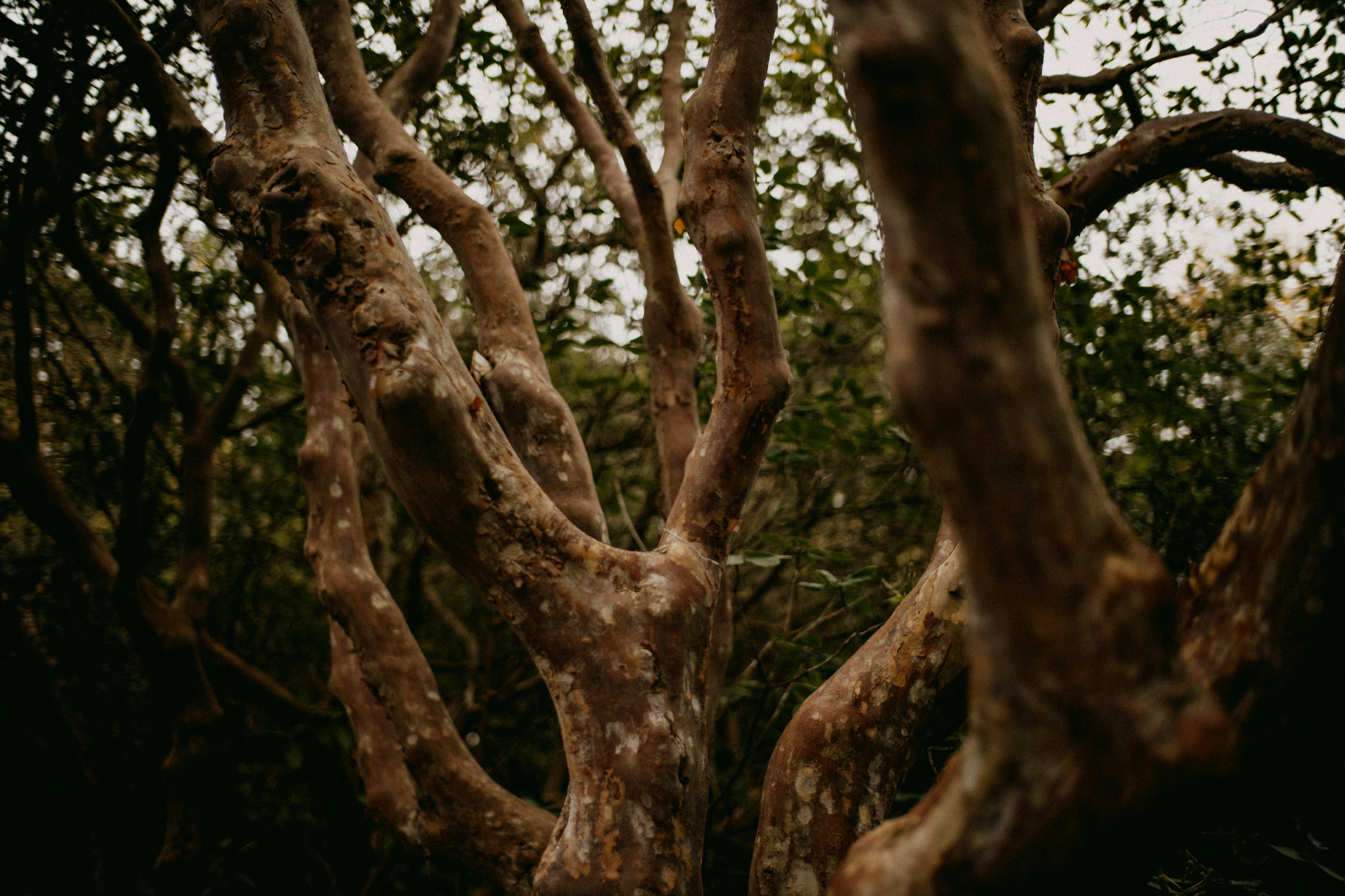 Photo by anniespratt