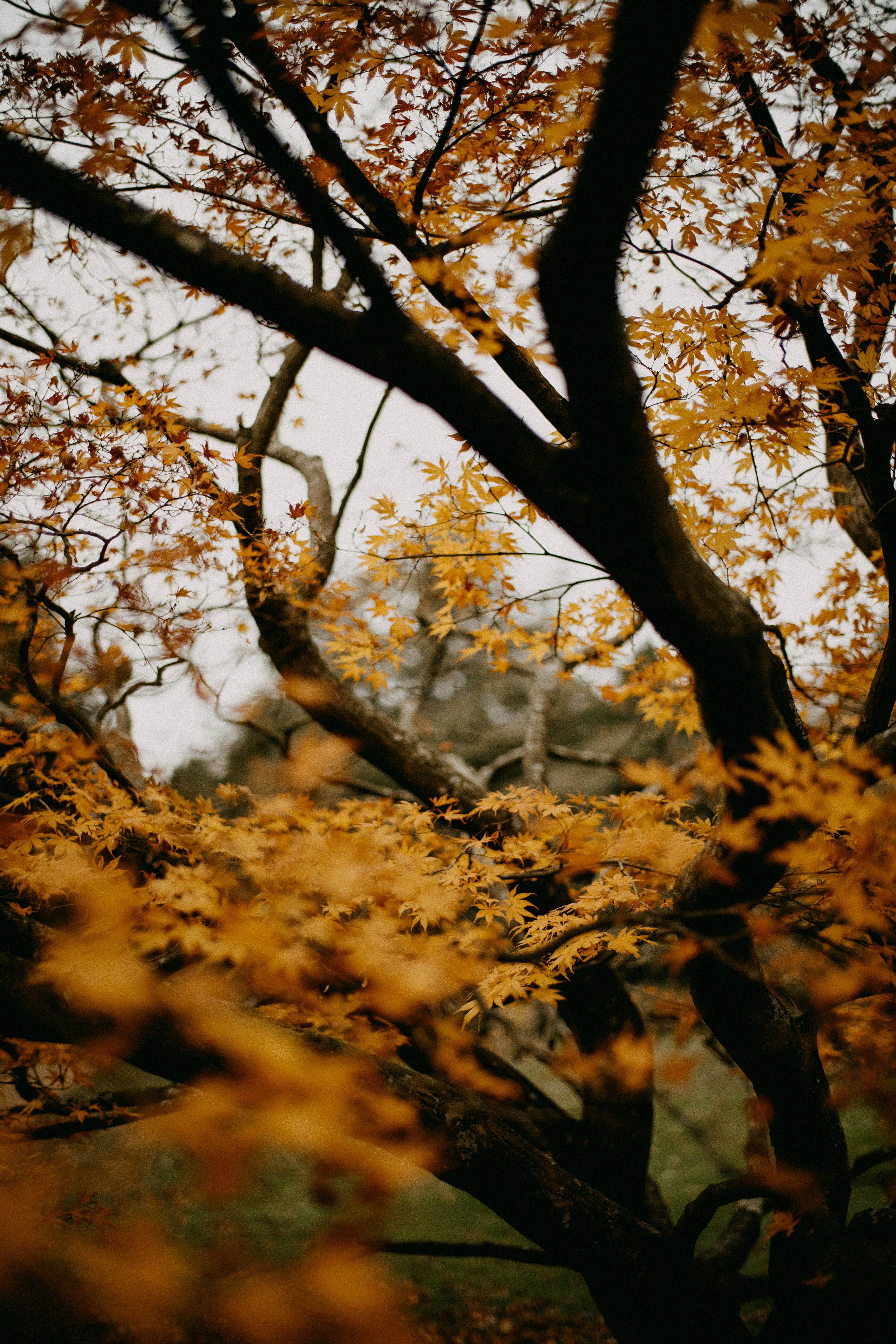 Photo by anniespratt