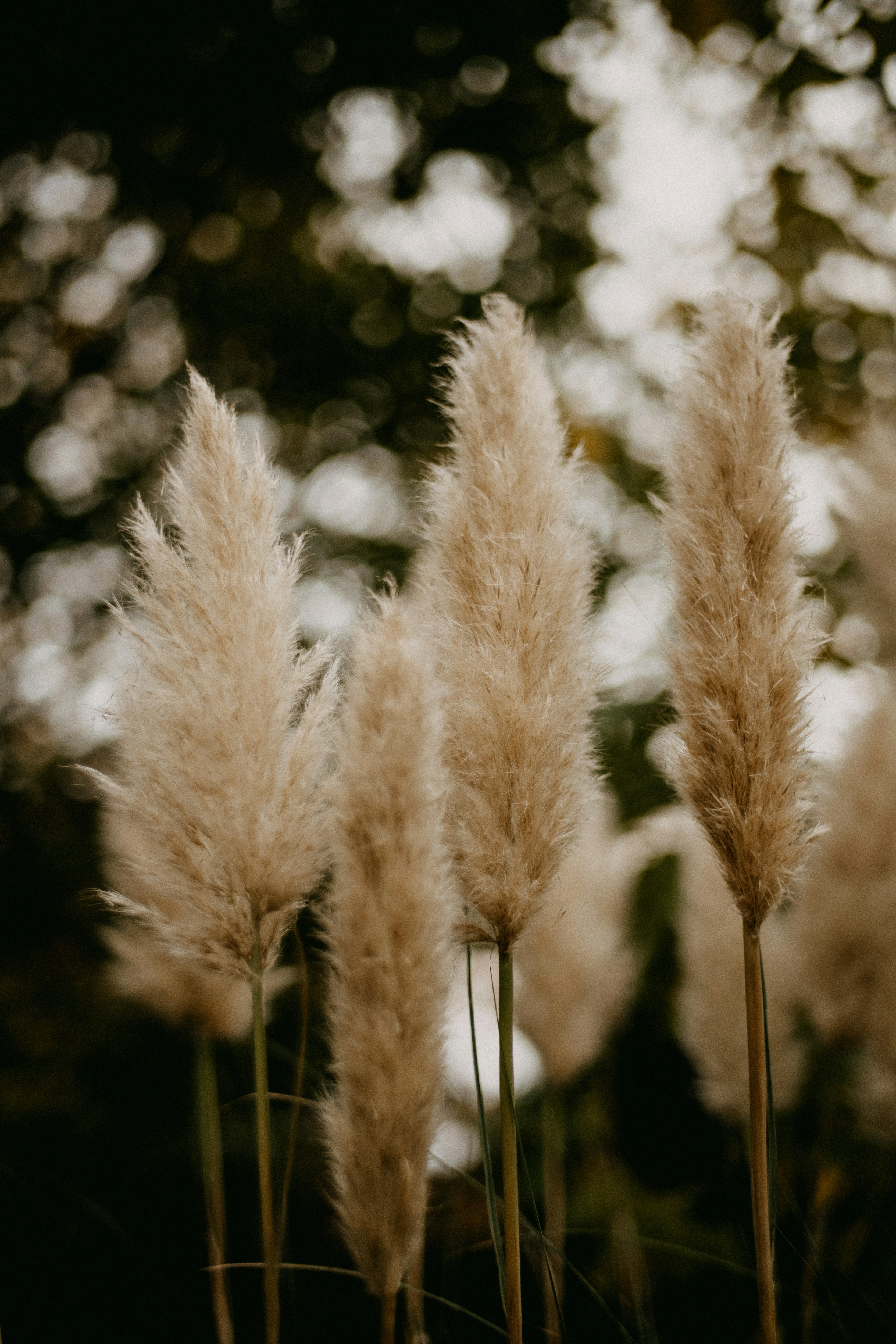 Photo by anniespratt