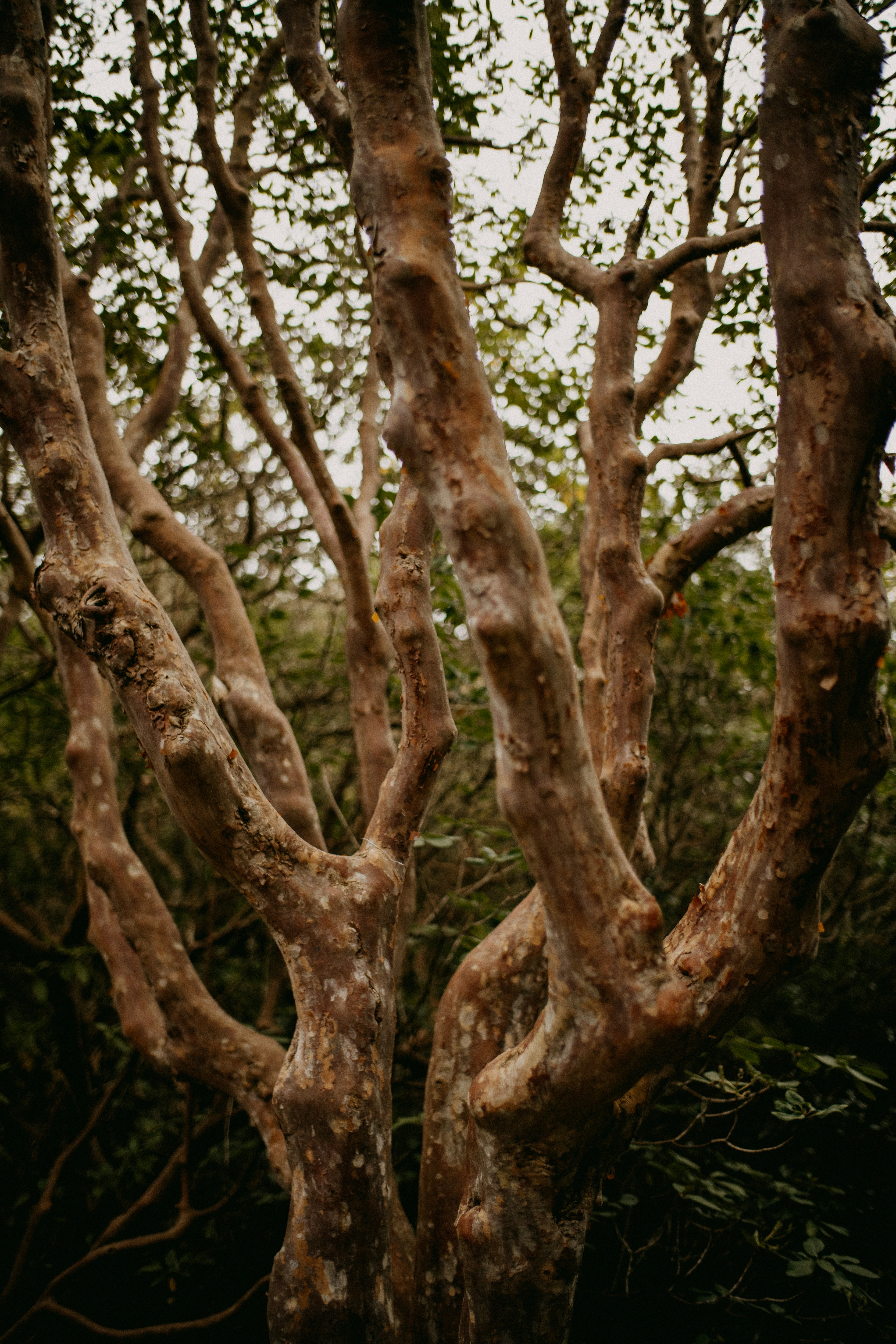 Photo by anniespratt