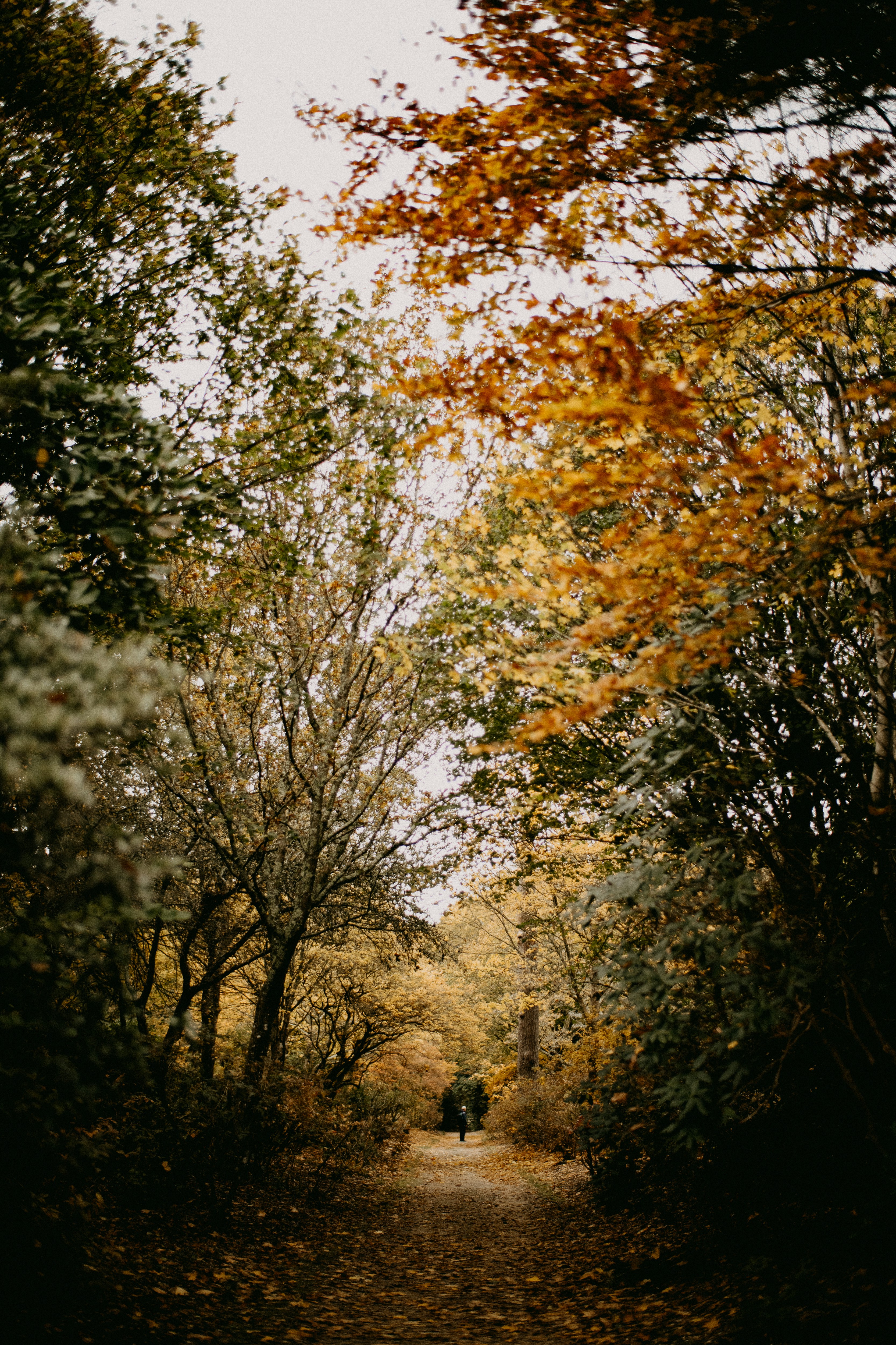 Photo by anniespratt