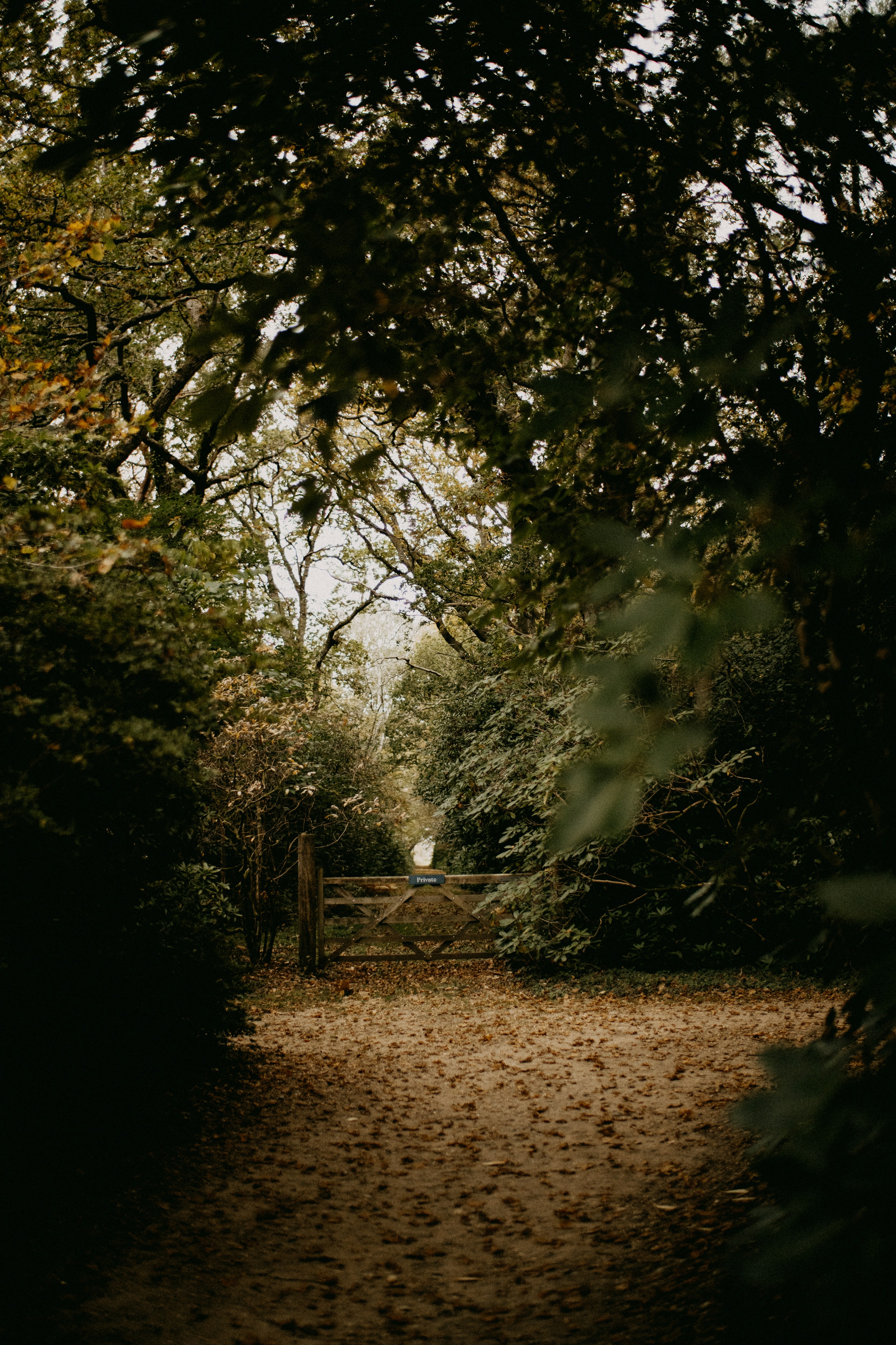 Photo by anniespratt