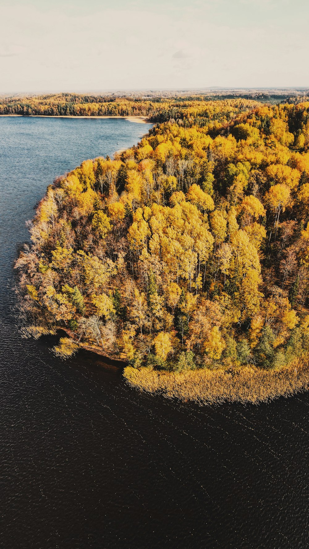 a large body of water surrounded by trees