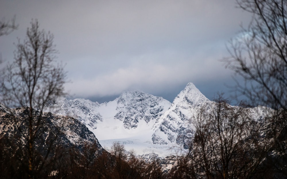 a snowy mountain range with trees in the foreground