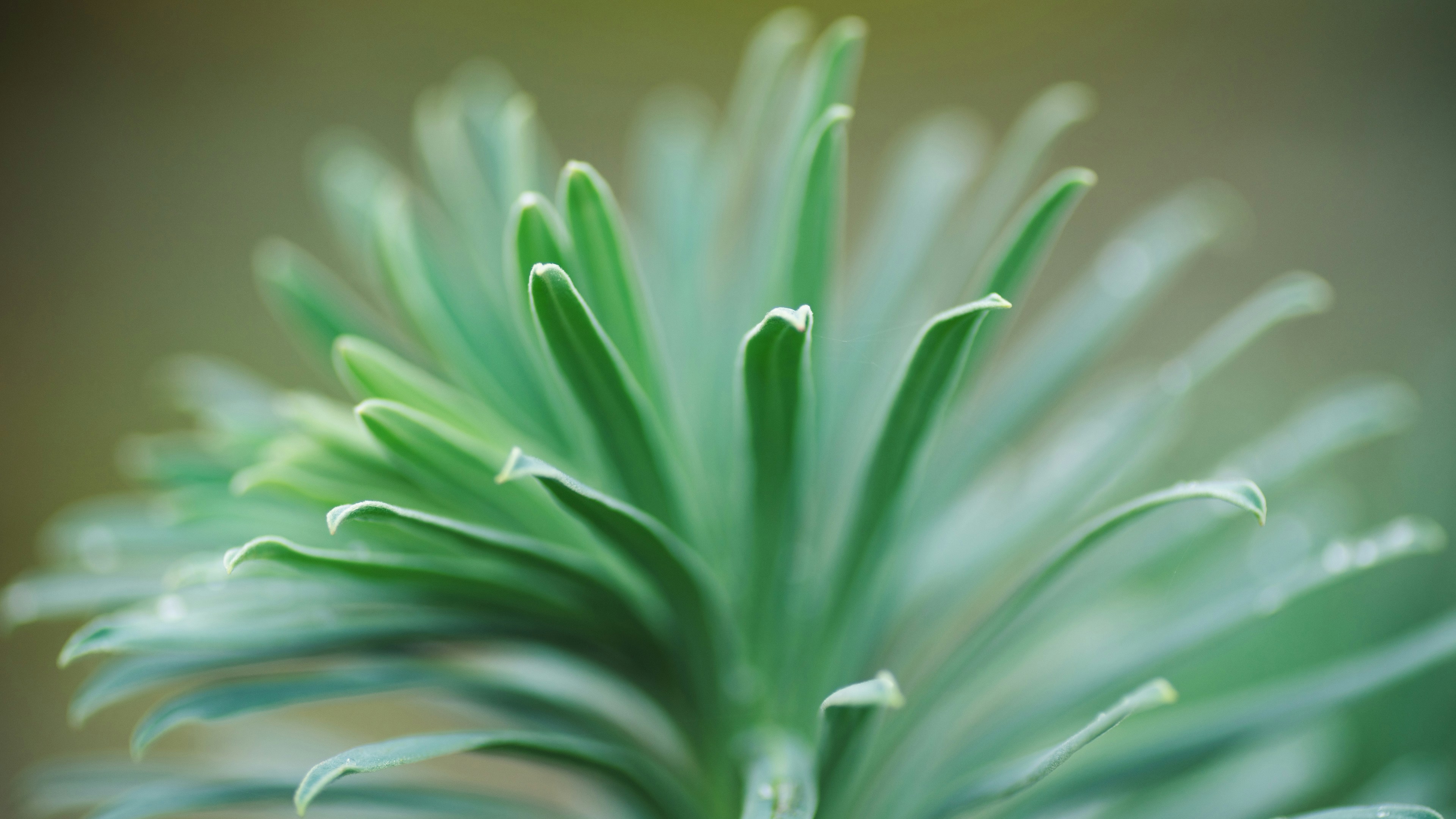 Photo by paulbeesley3