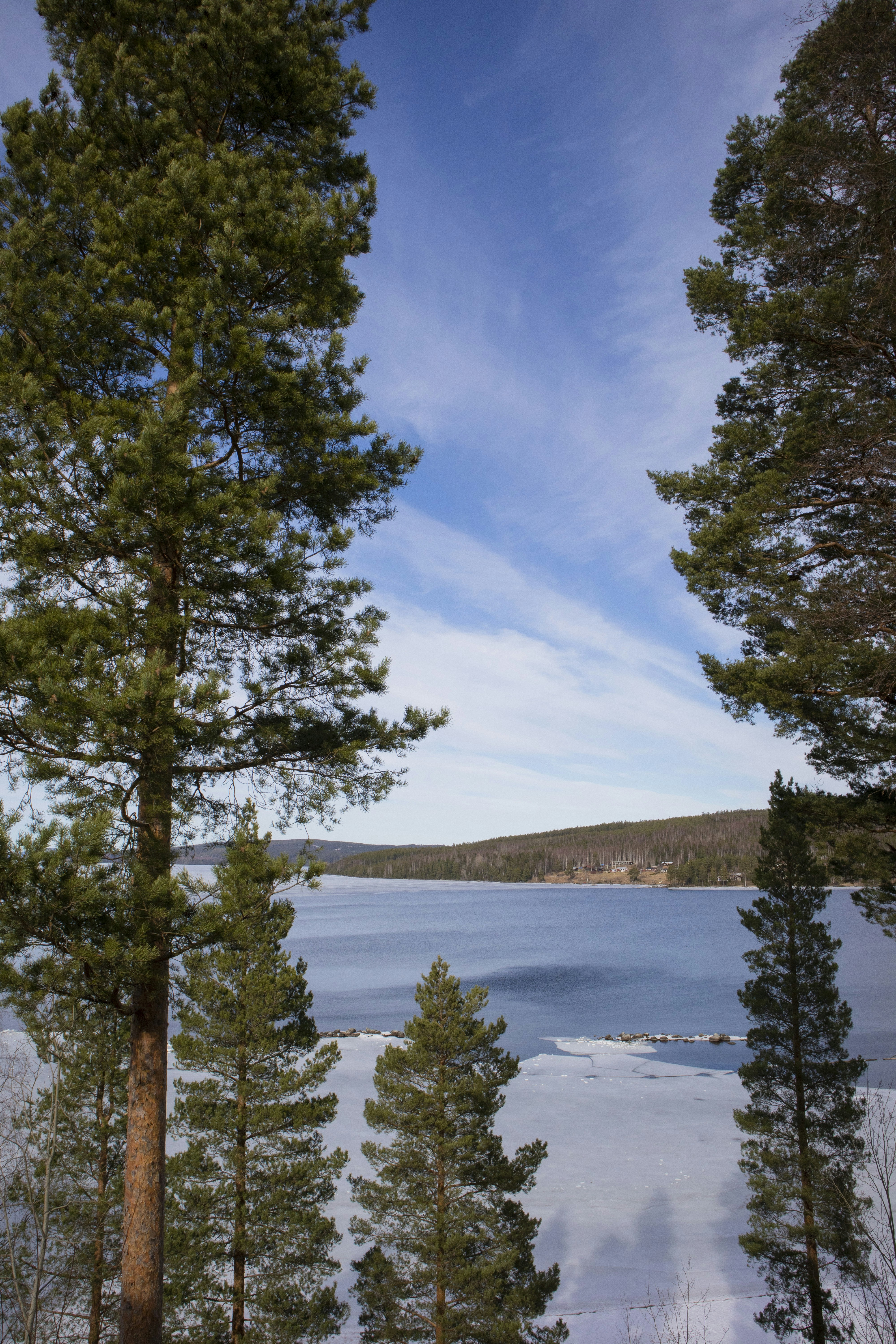 a view of a lake through some trees