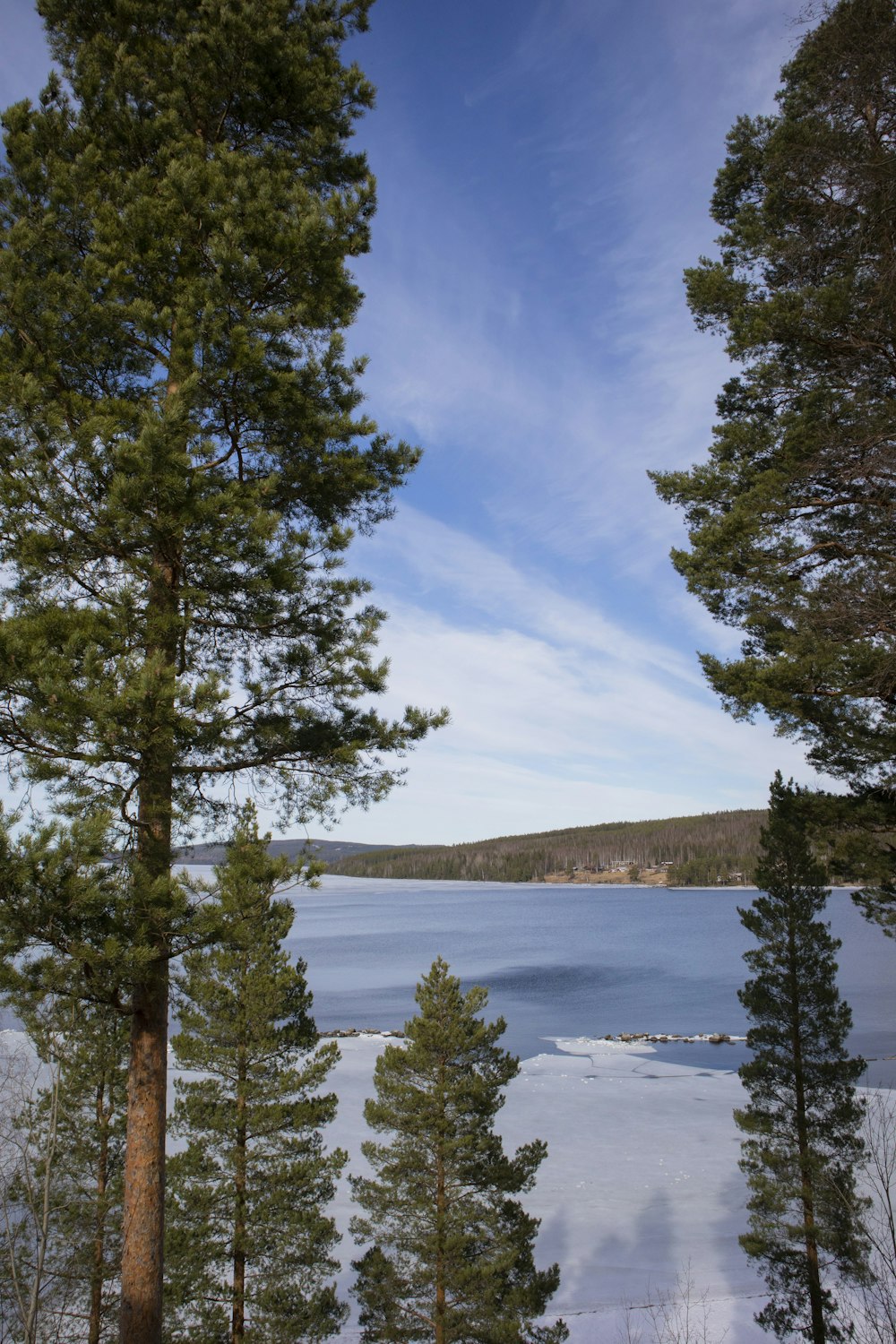 a view of a lake through some trees