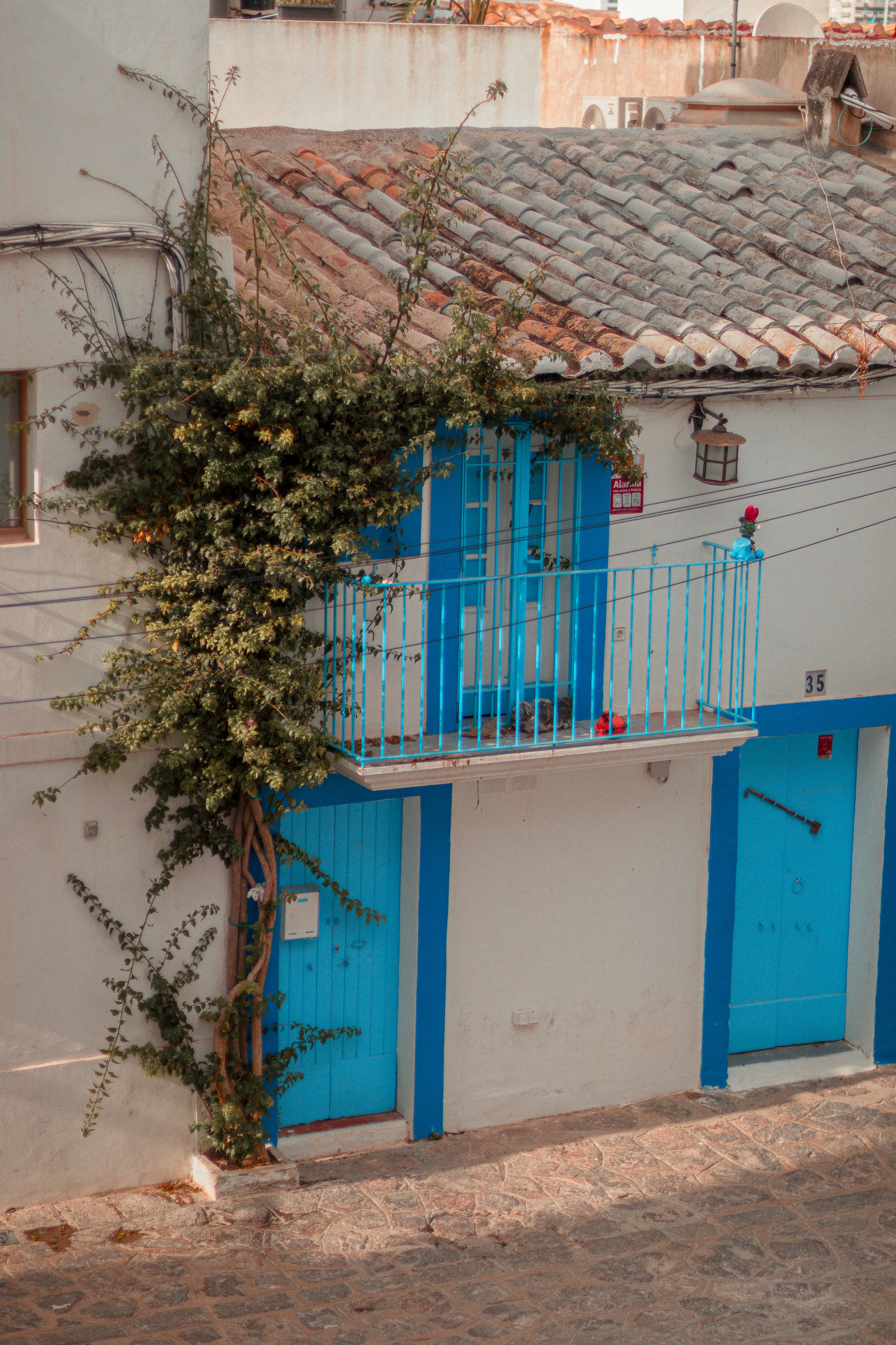a blue and white building with a tree growing out of it