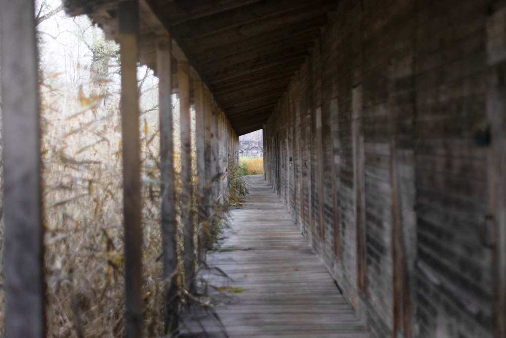 a row of wooden buildings sitting next to each other