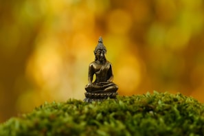 a small buddha statue sitting on top of a moss covered hill