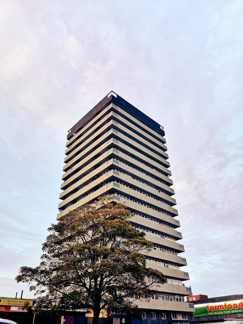 Un edificio alto con un árbol frente a él