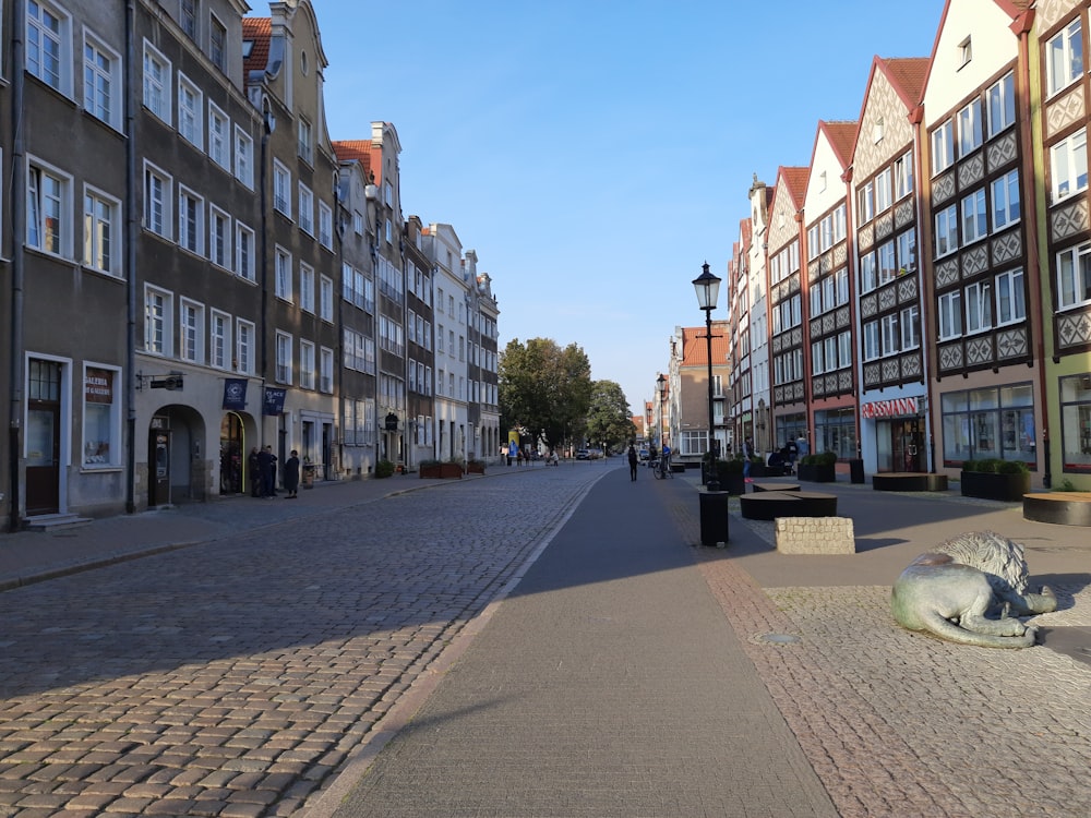 a cobblestone street lined with buildings and a statue of a dog