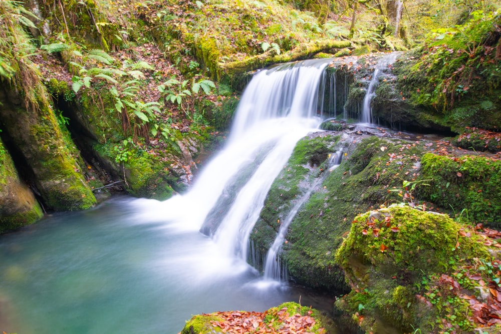 a small waterfall in the middle of a forest