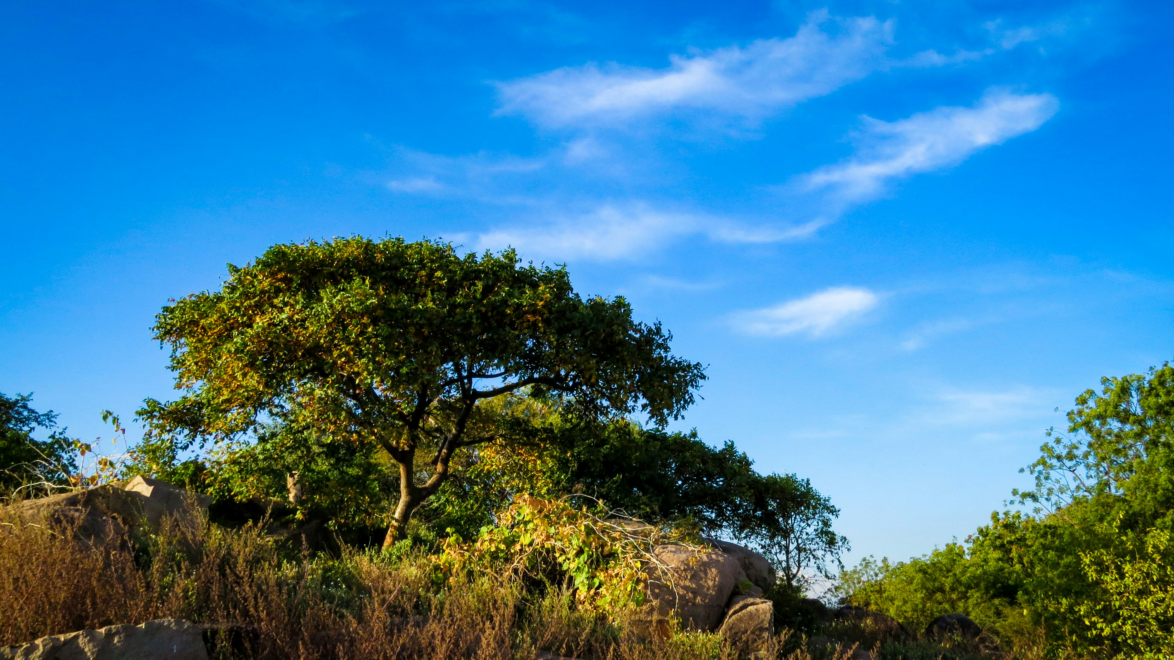 Photo by anandramavath_786