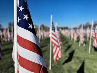 a field full of american flags on a sunny day