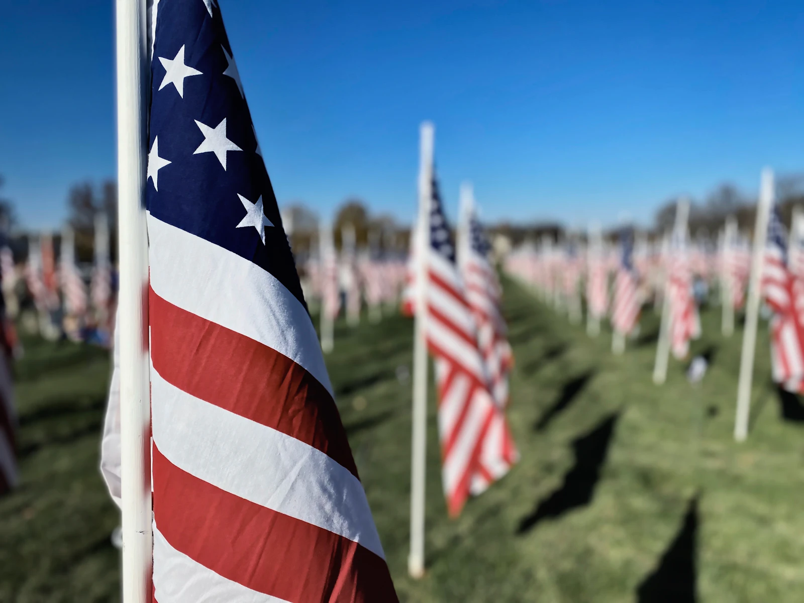 Field of American flags on a bright, sunny day honoring those who served