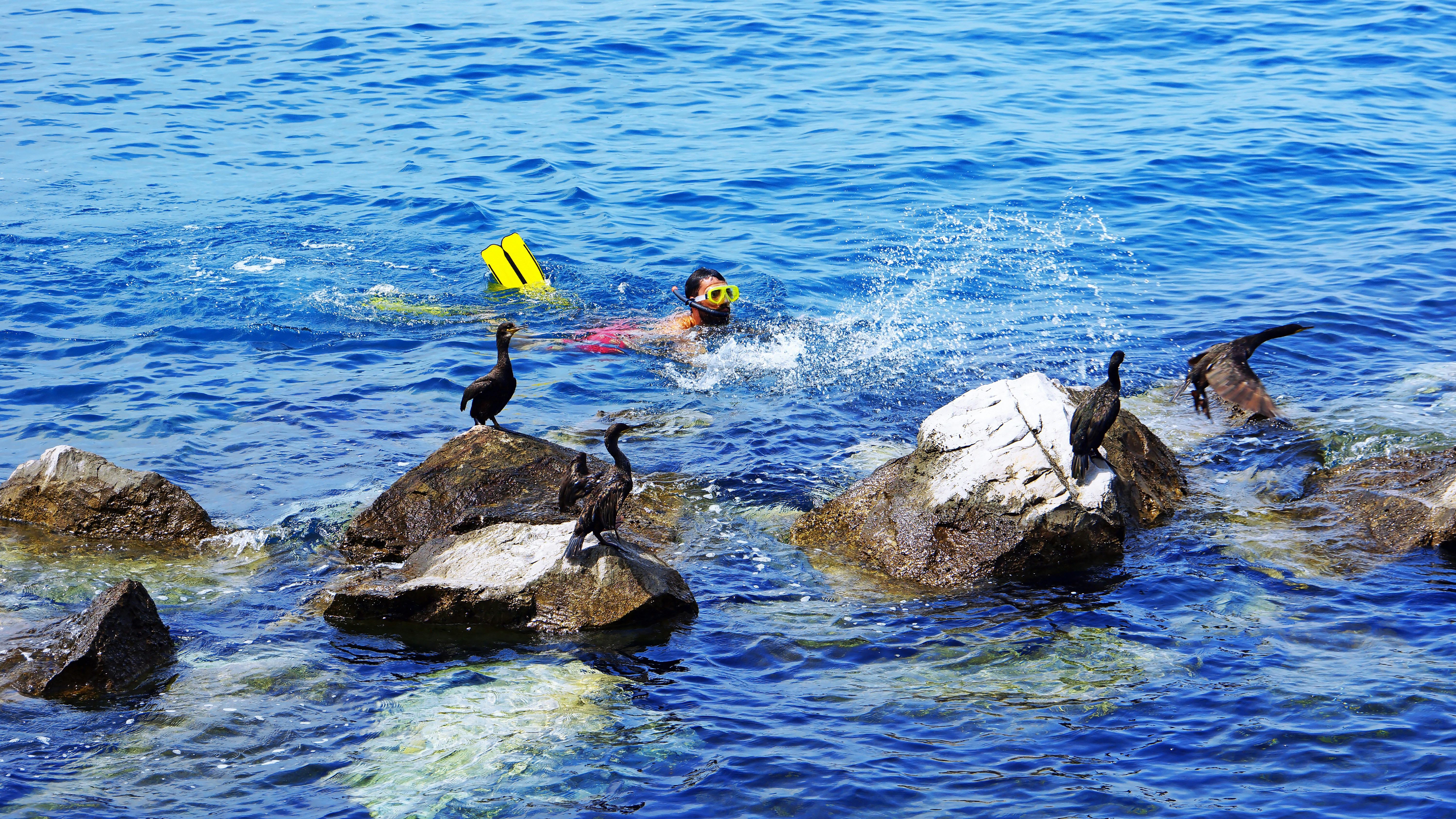 8 Skimming Habits That Support Daily Saltwater Pool Maintenance