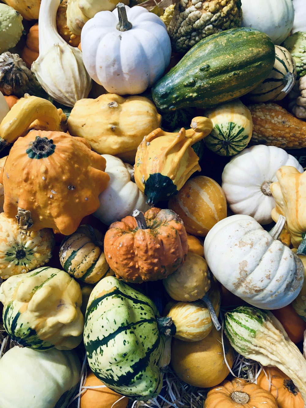 a pile of pumpkins and gourds sitting next to each other