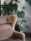 A softly lit beige linen armchair beside a window with sheer curtains and a muted green plant.