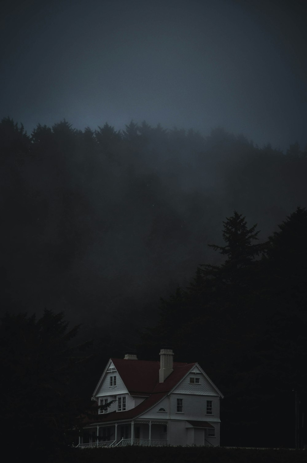 a house in the middle of a foggy forest