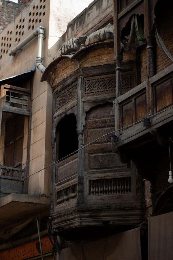 Old Lahore heritage building with wooden balconies, the type of structure at high termite risk