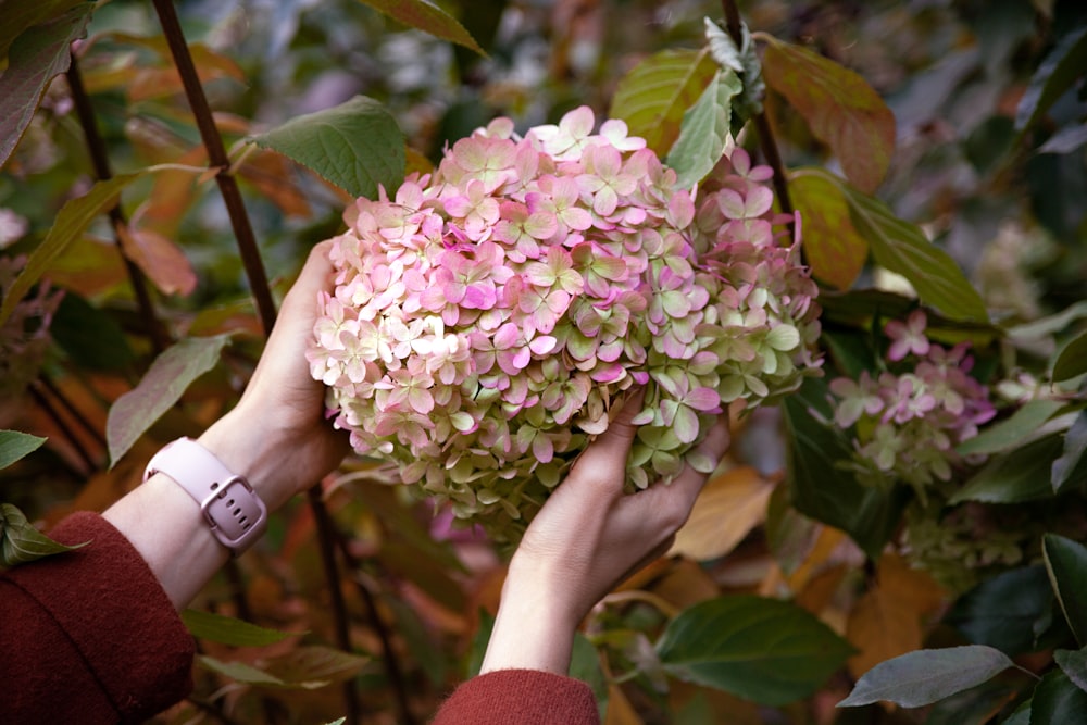 a person holding a bunch of flowers in their hands