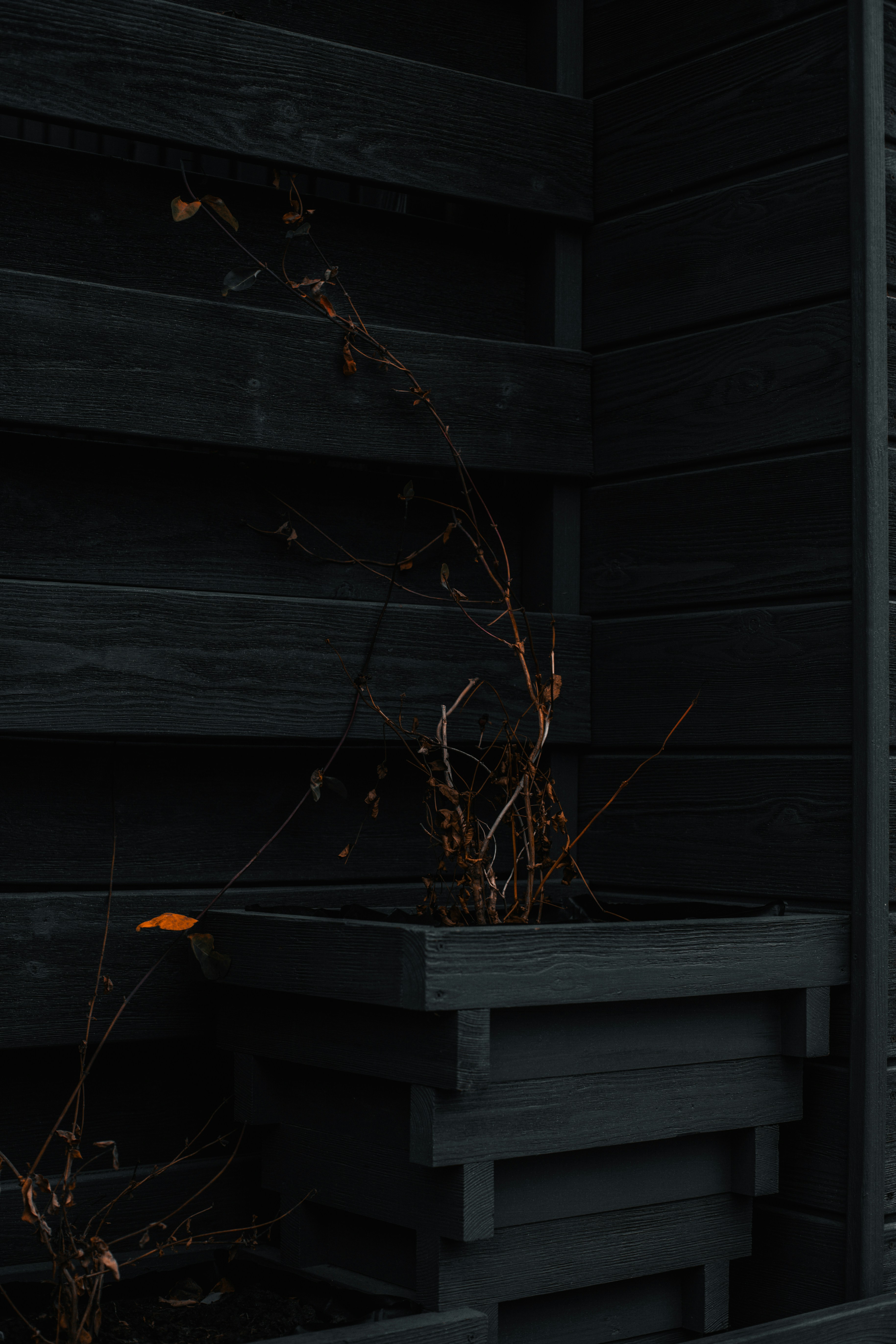 Photo by prostopetro