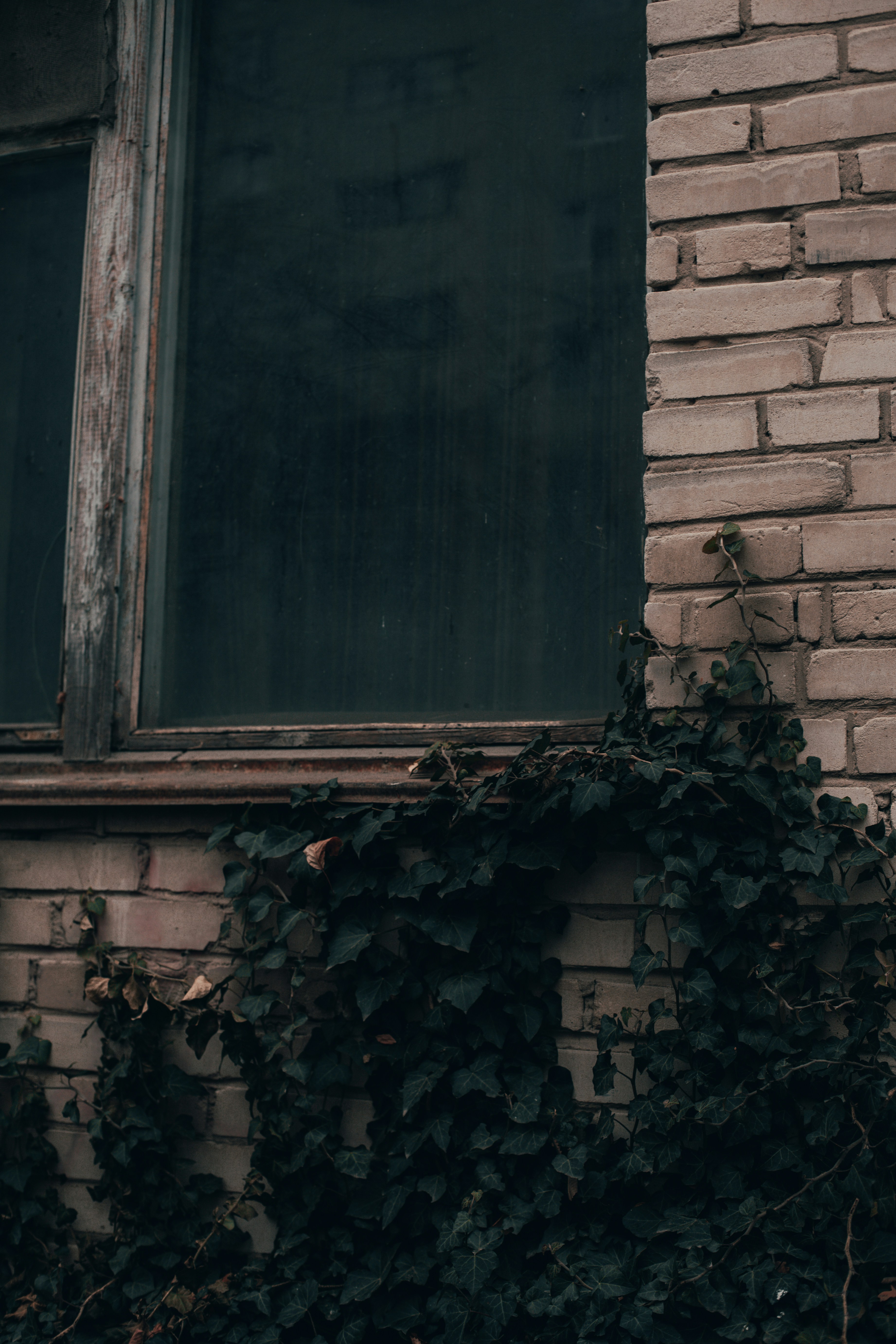 Photo by prostopetro