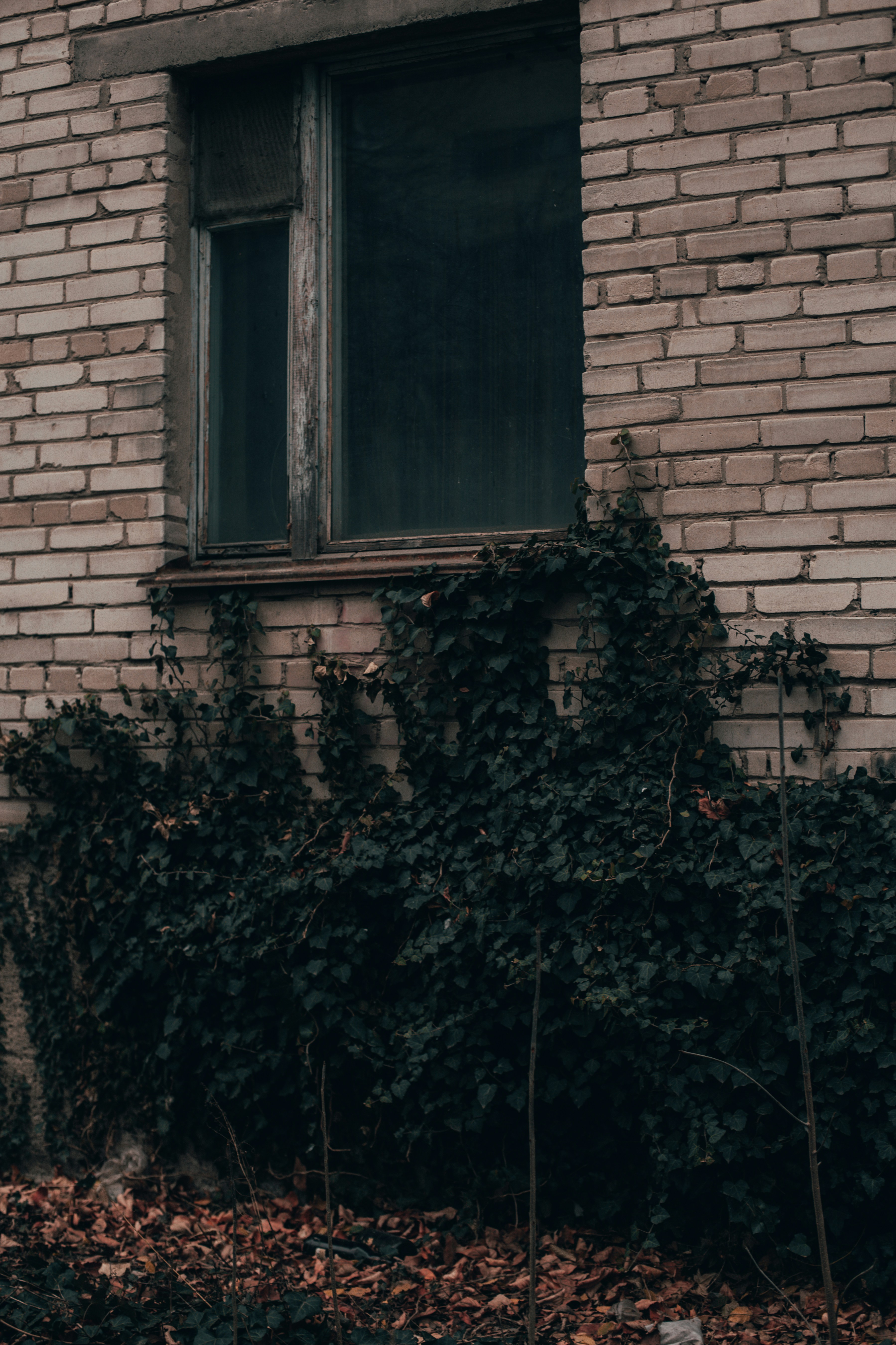 Photo by prostopetro