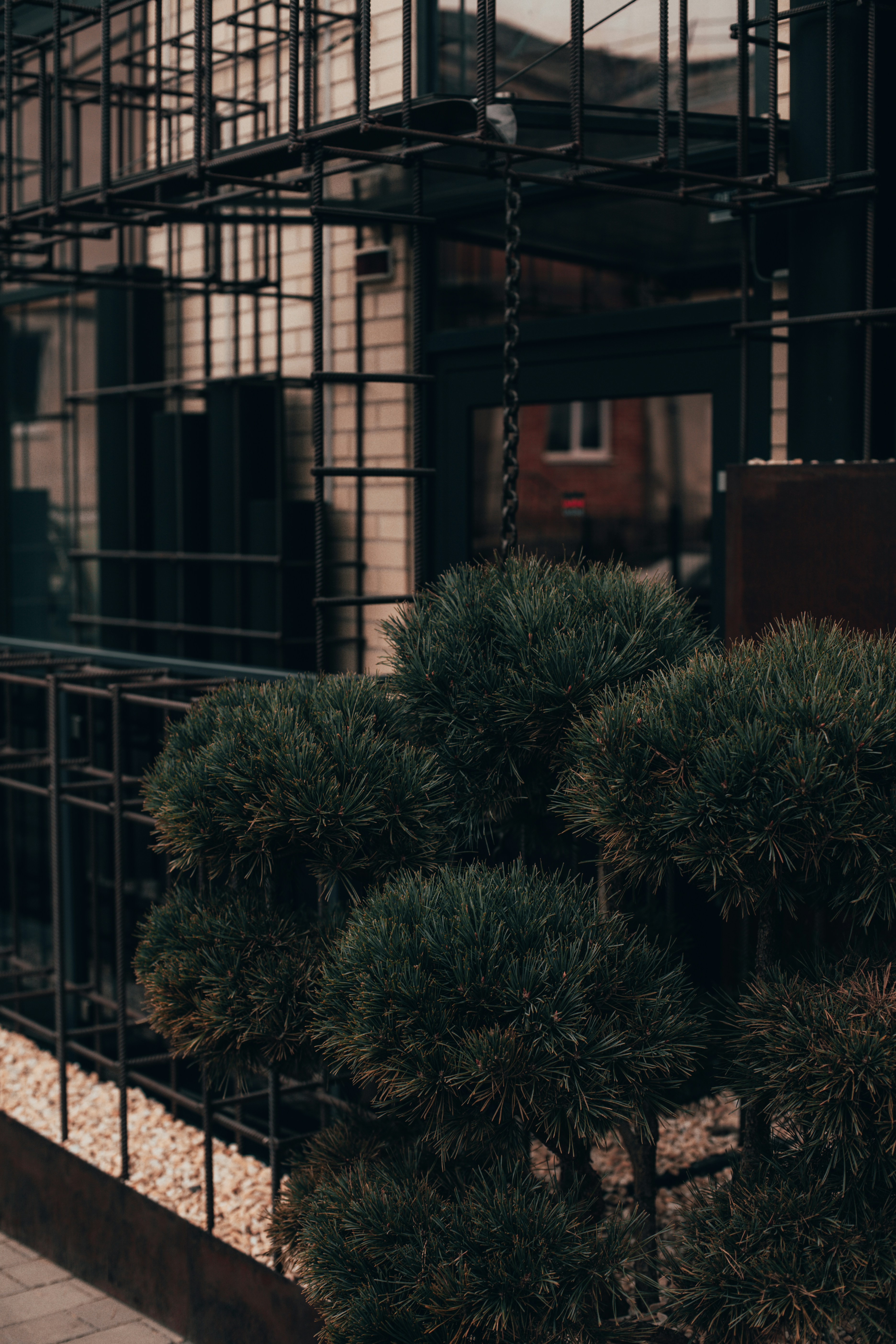 Photo by prostopetro