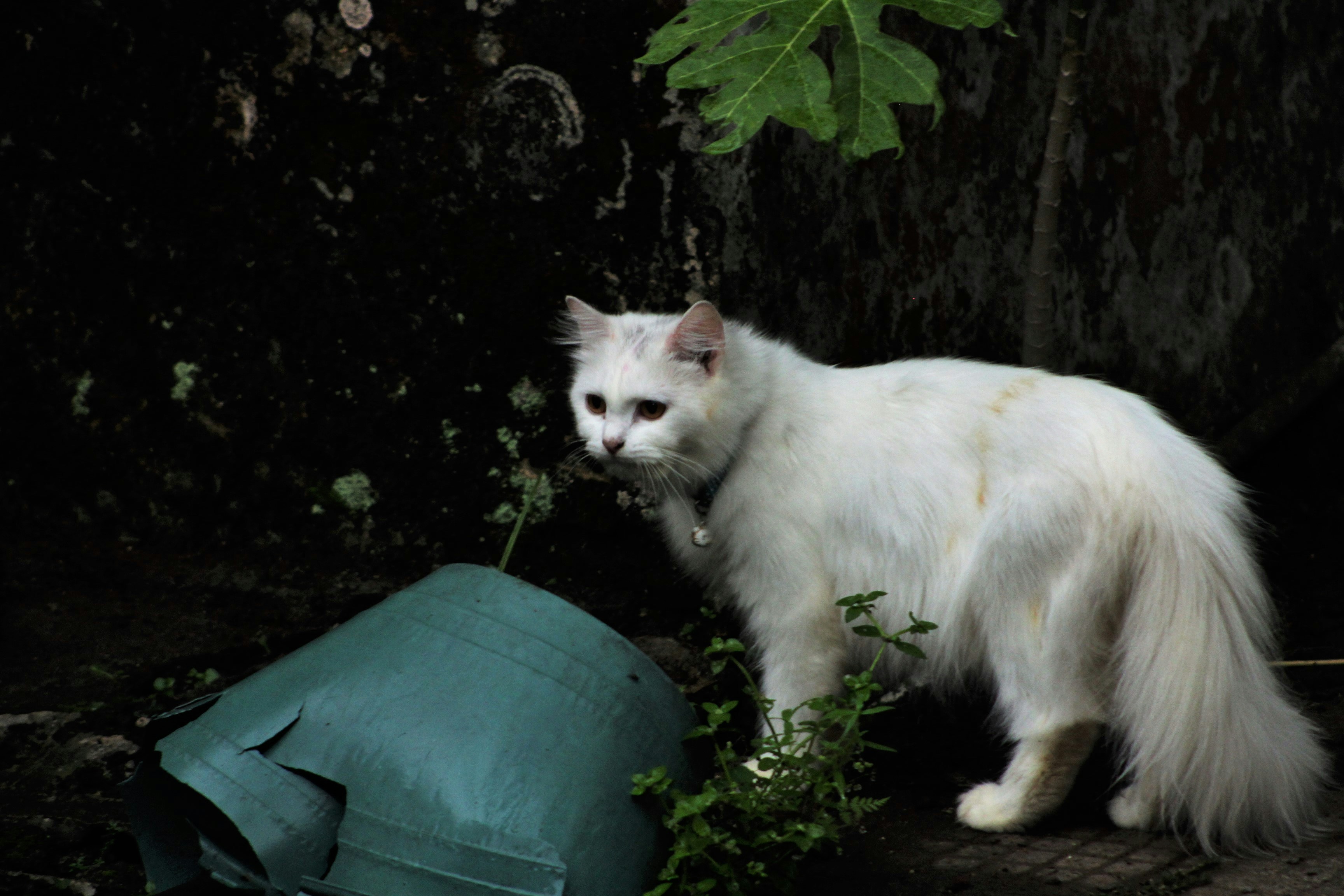 Photo by ricky_fajar_wisnu_adiputra