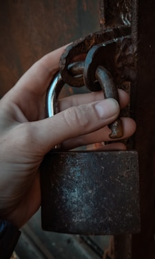 a person is holding a padlock on a door