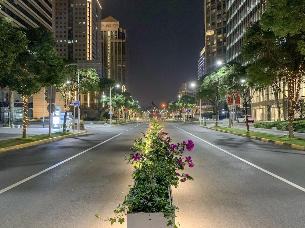 a city street at night with a planter on the side of the road