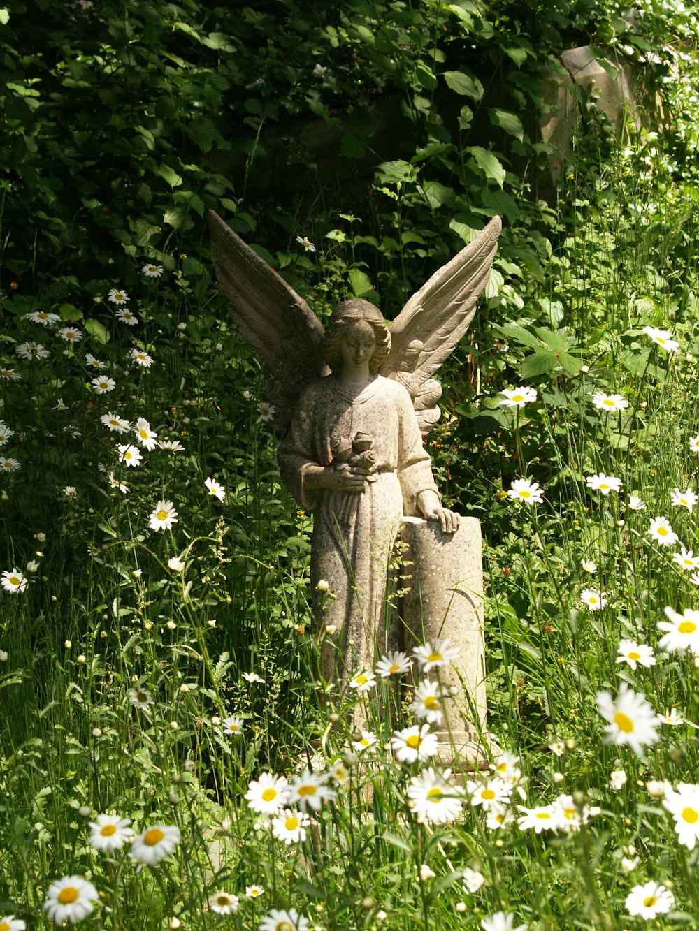 a statue of an angel in a field of daisies