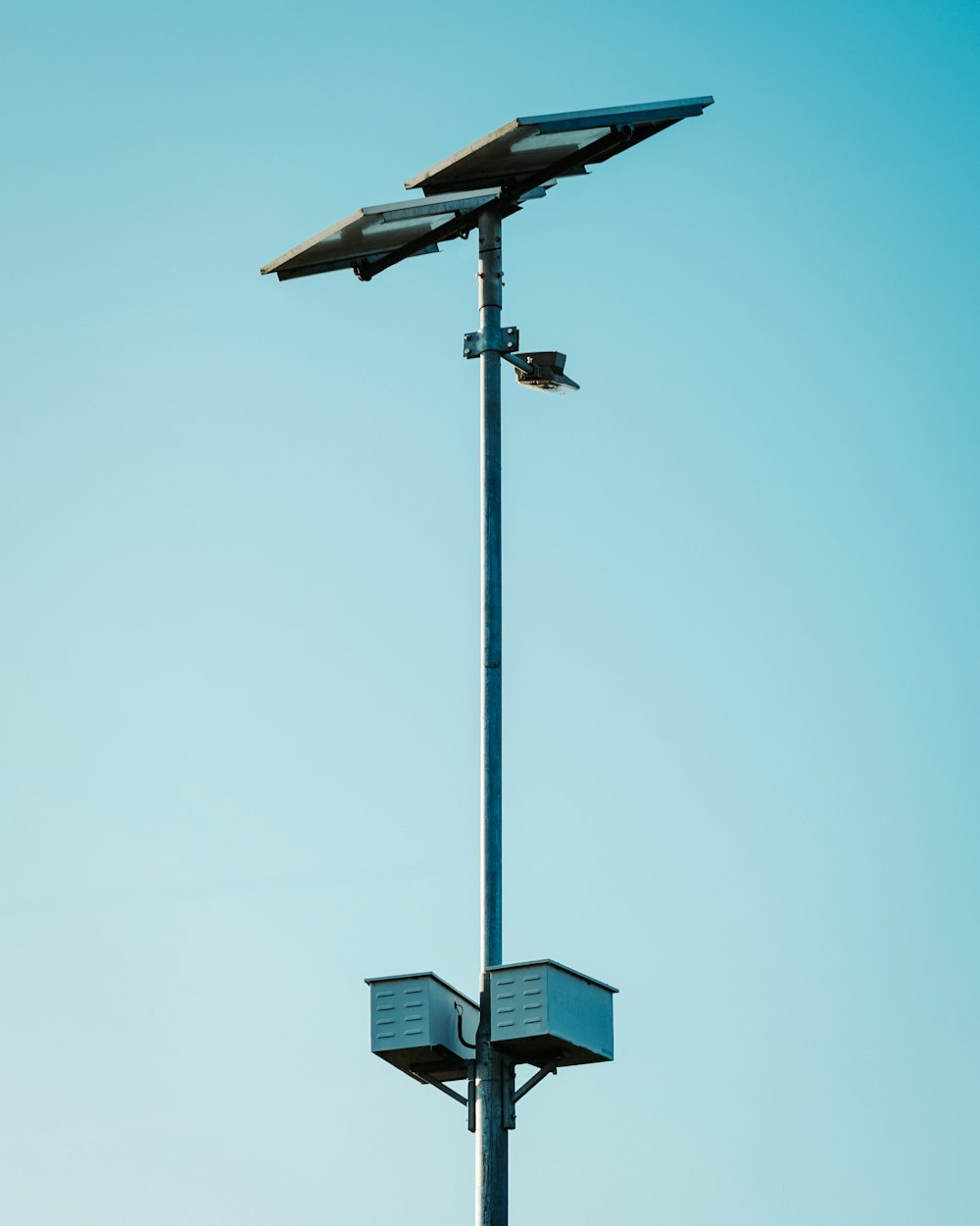 two birds sitting on top of a light pole