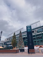 An outdoor scene featuring a large Christmas tree adorned with colorful ornaments. The tree is positioned near a building with visible architectural details, and the sky is overcast. There is a tall sign with the word 'Advocate' on it to the right, and a person dressed in dark clothing is walking nearby.