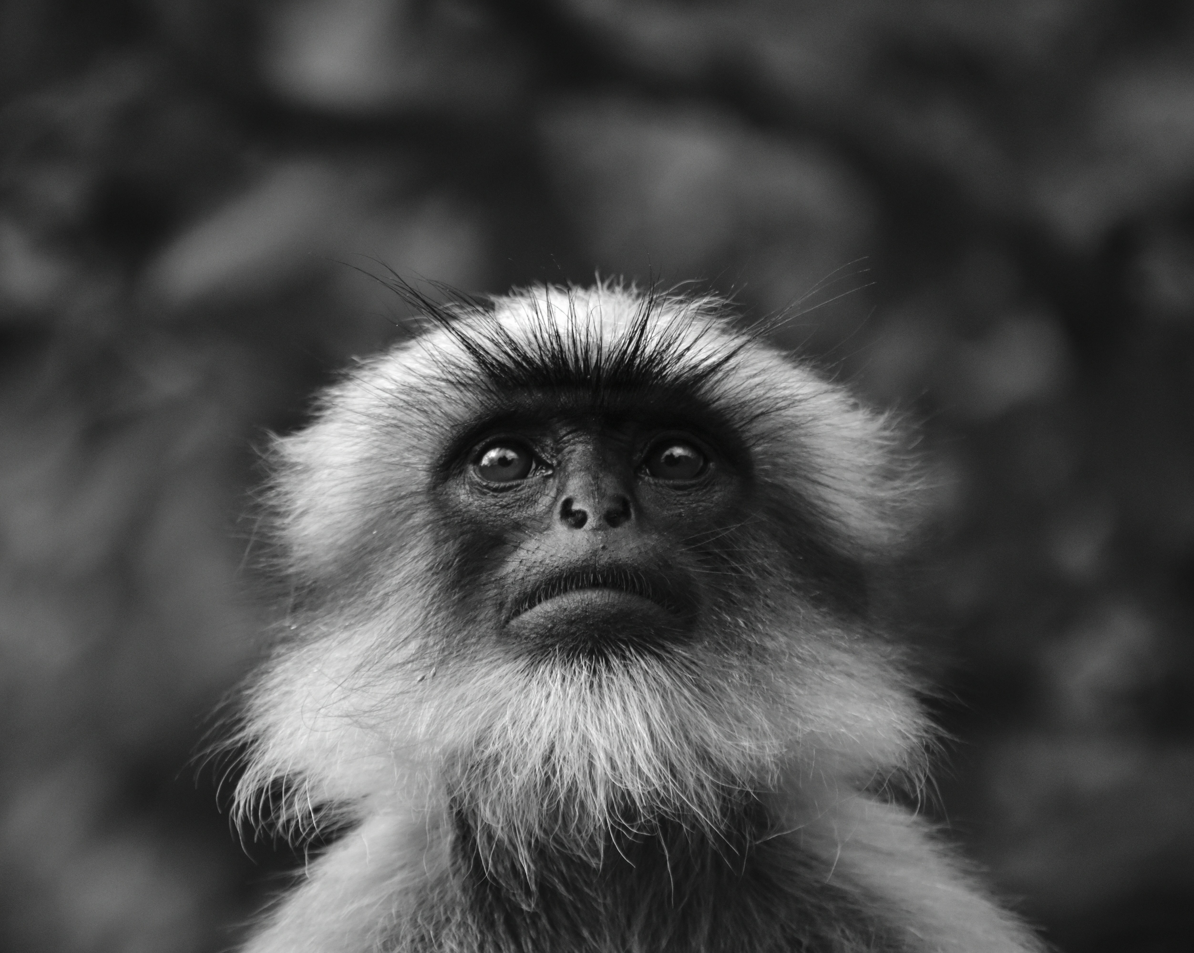 Photo by shoebkhatib