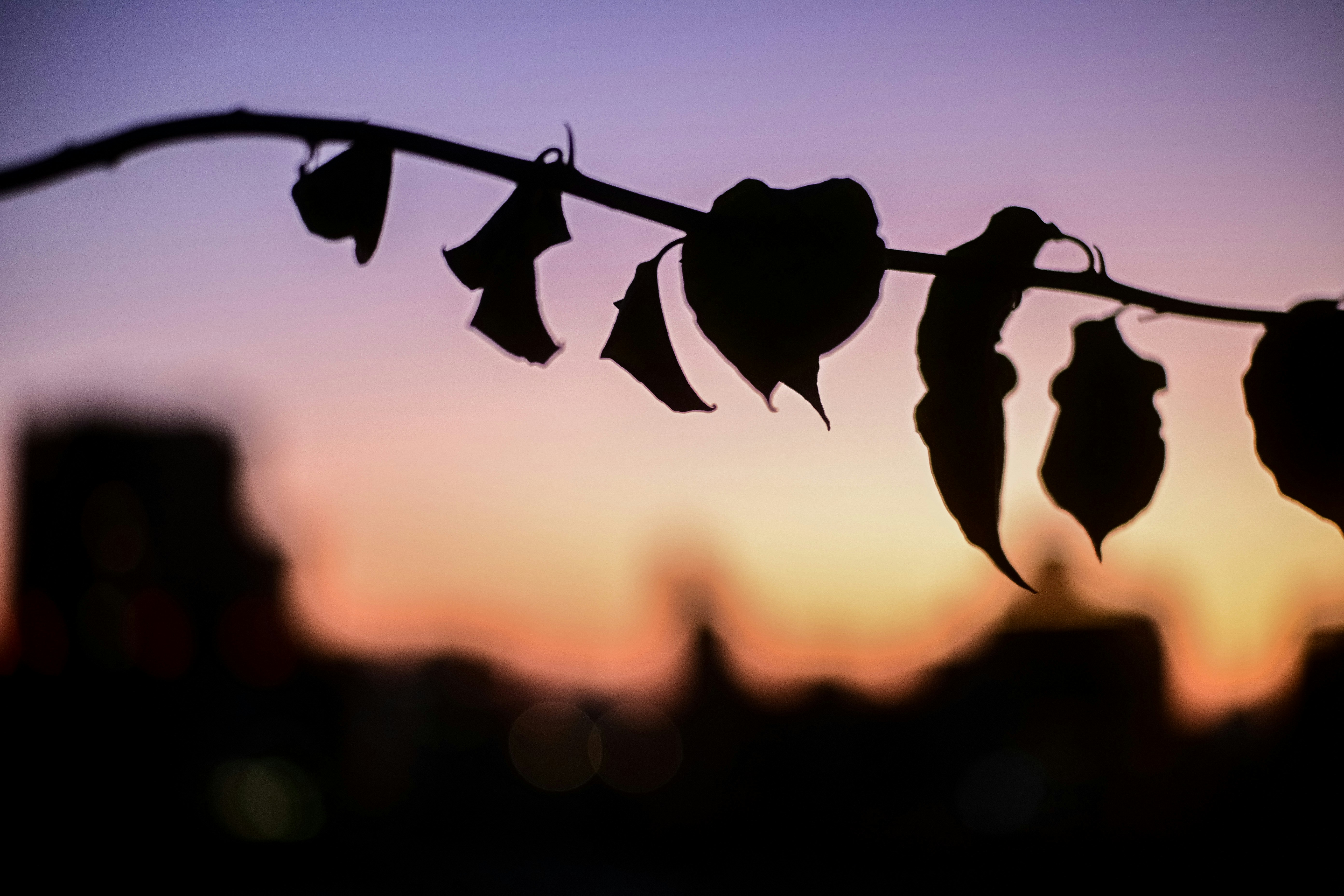 Unsplashで見つけるノスタルジックの無料写真